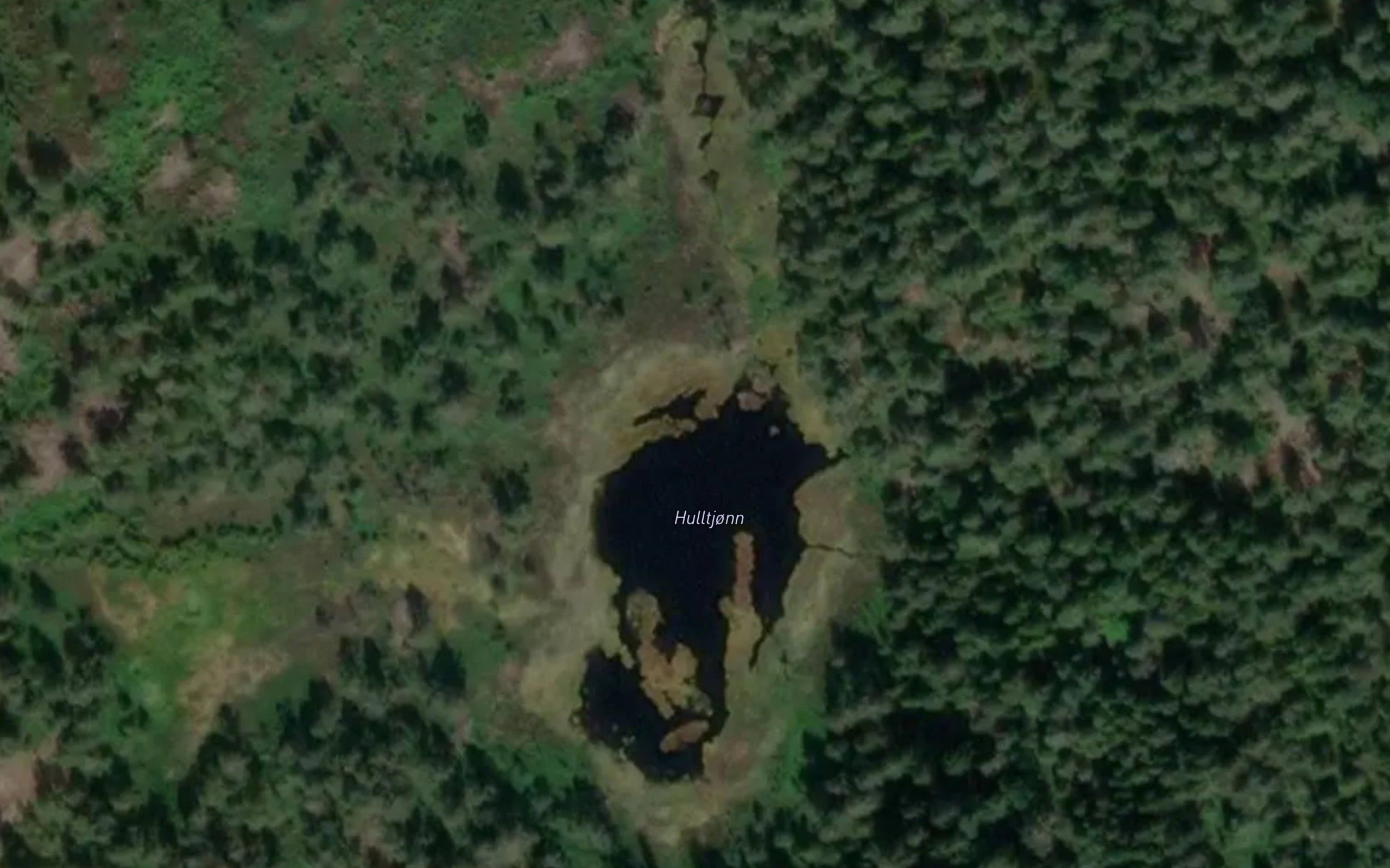 Hulltjonn