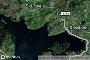Mjolkeviki
