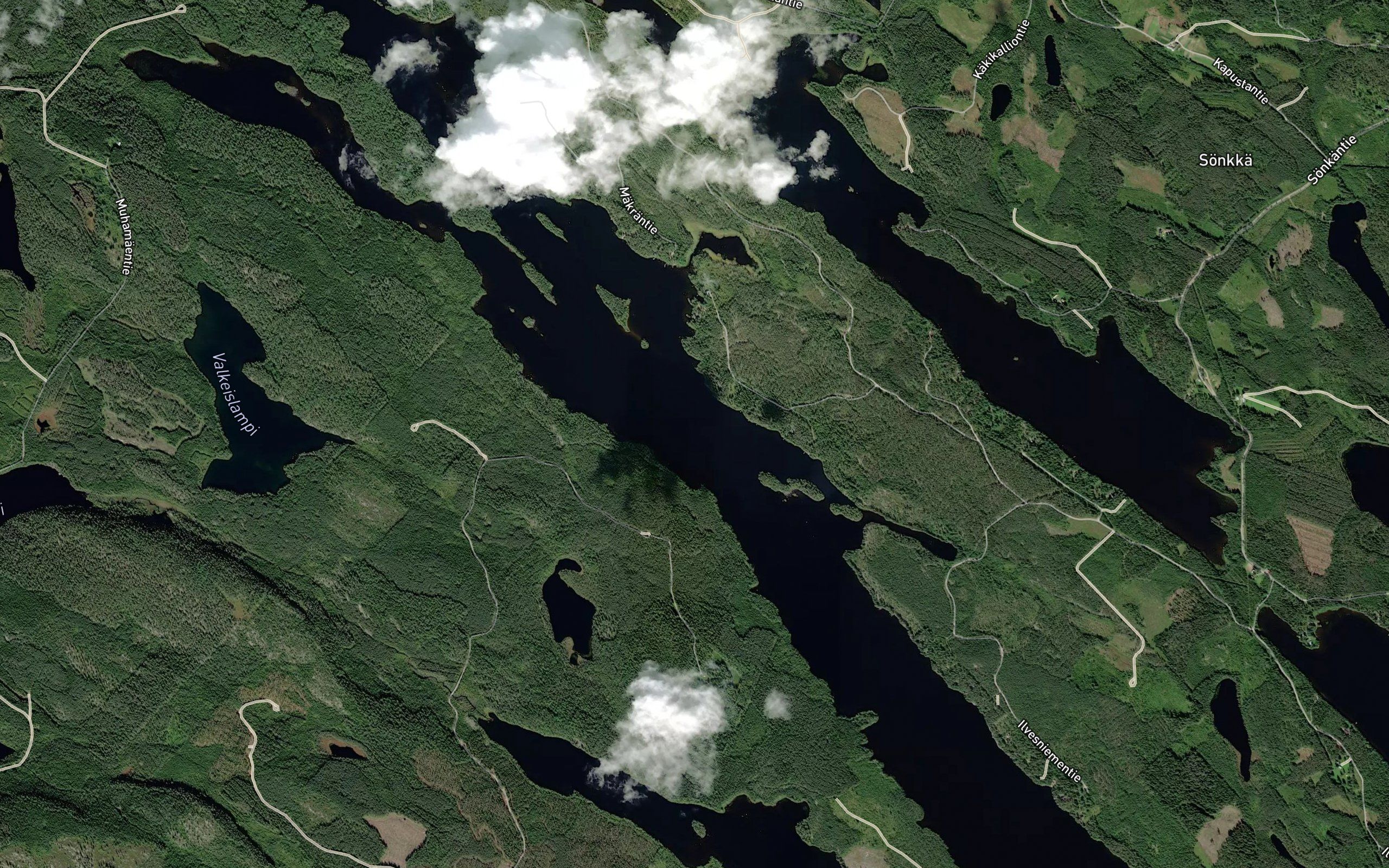 Hiekkaselka