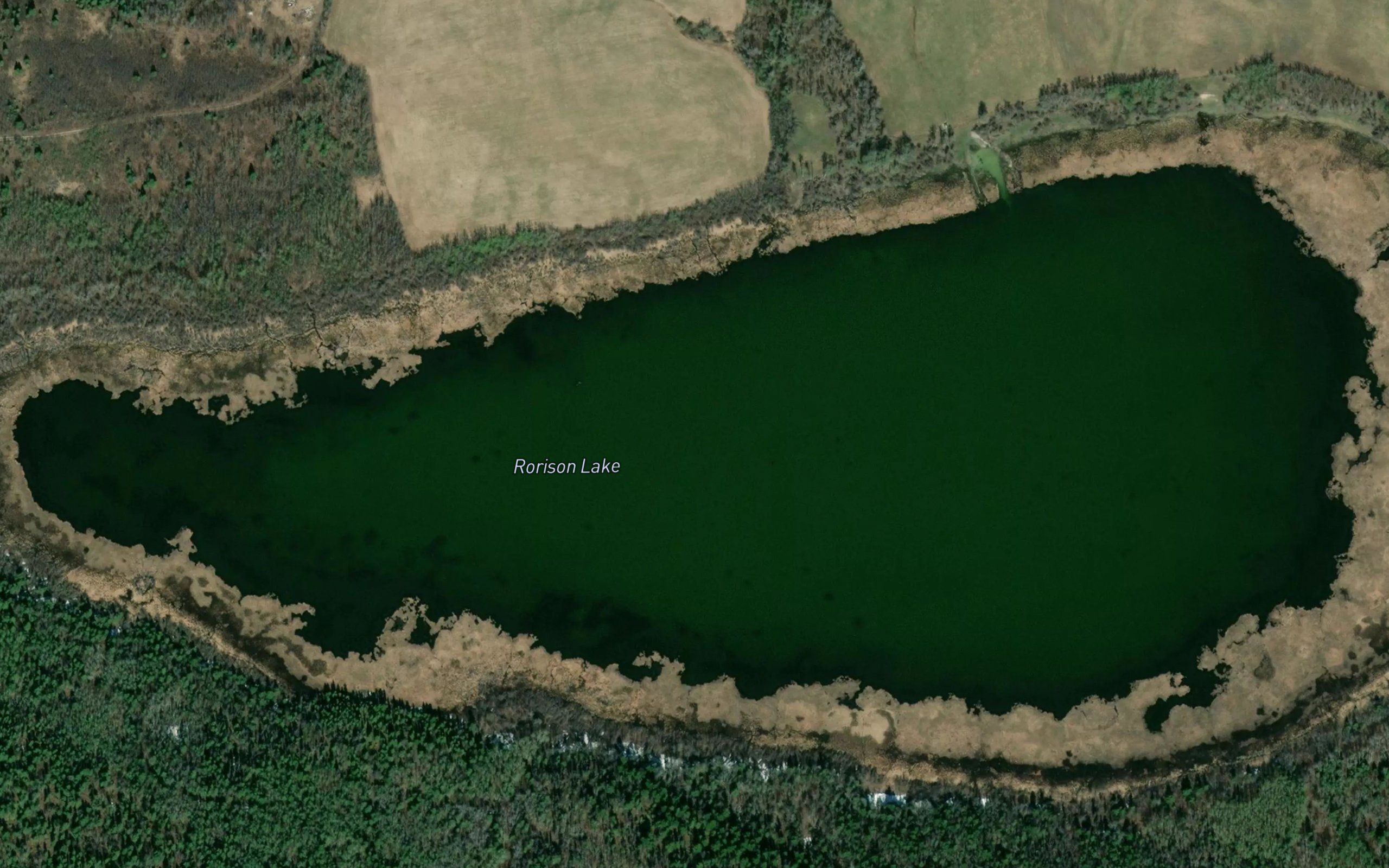 Rorison Lake