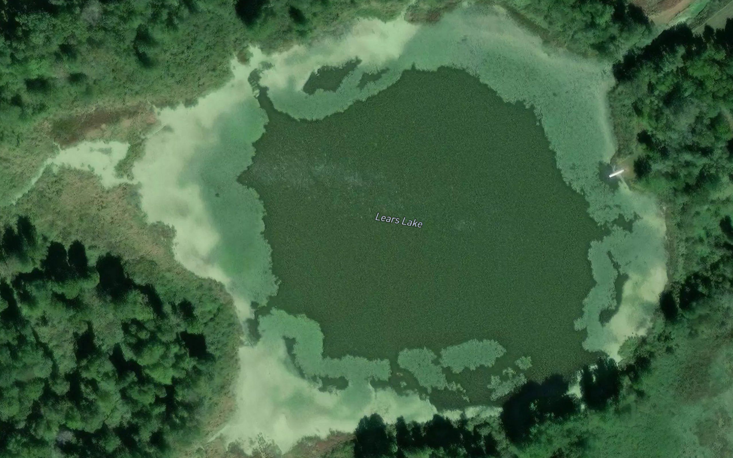 Lears Lake