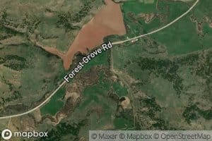 Blacktail Creek