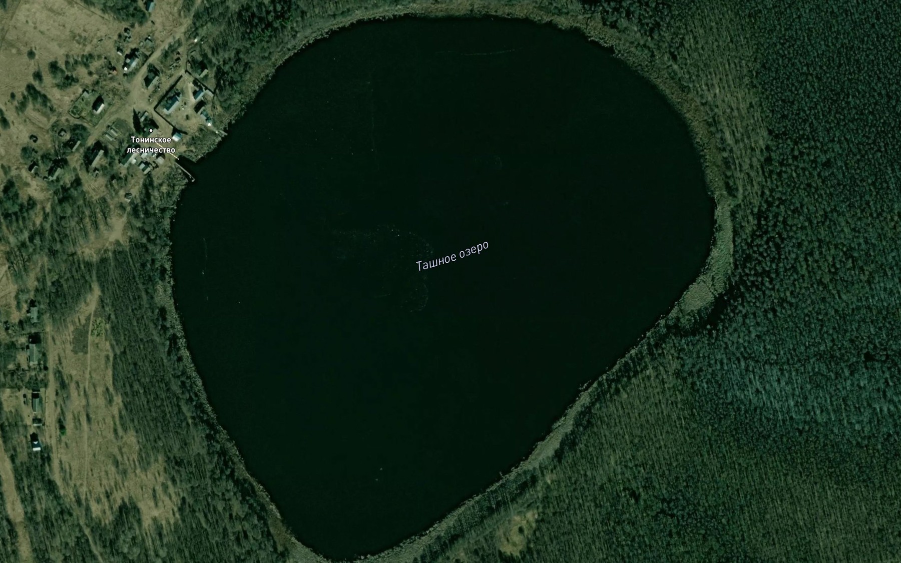 Satellite map of the Ozero Tashnoye