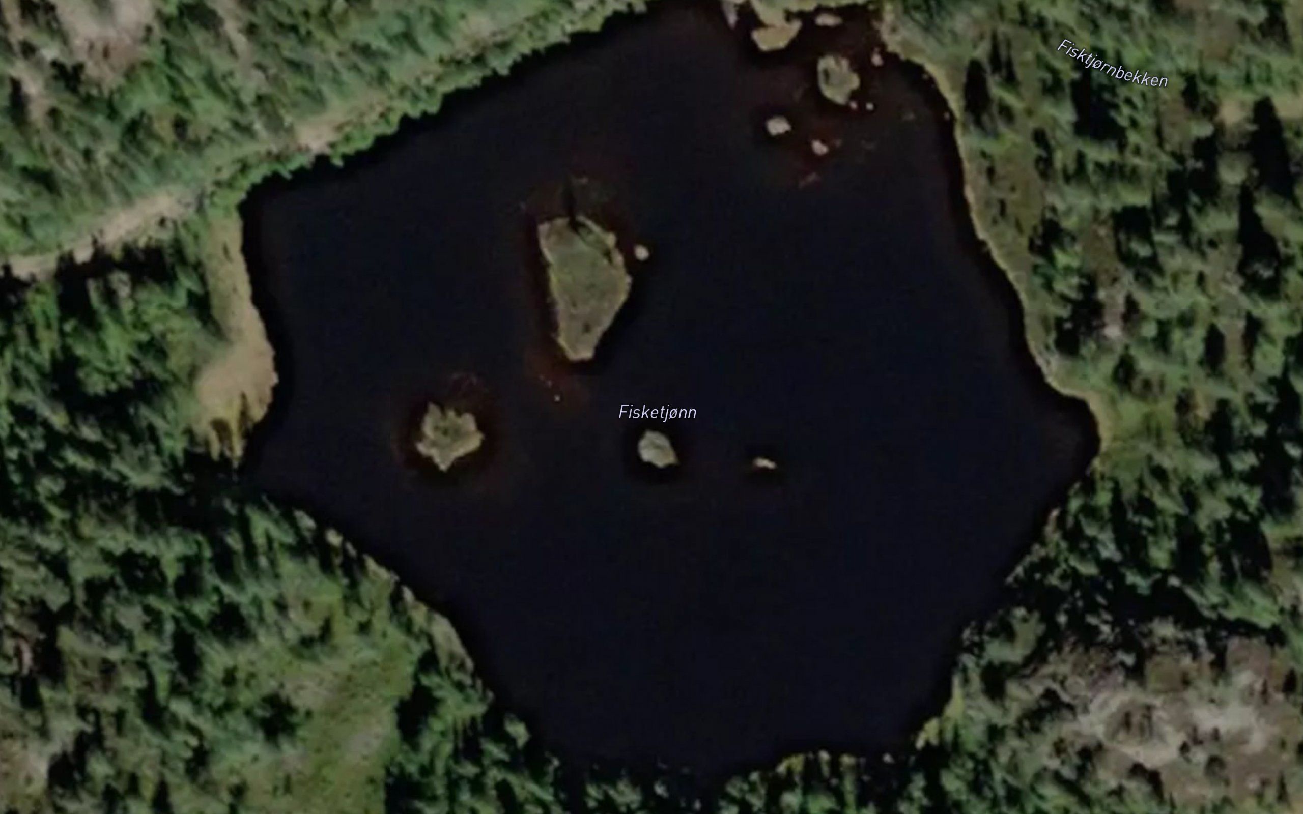 Fisktjorn