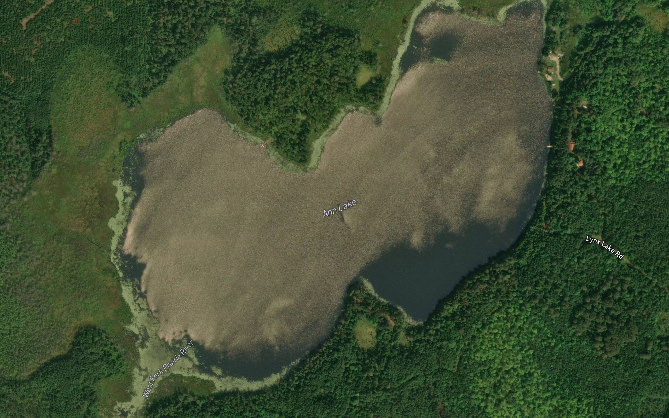 Ann Lake