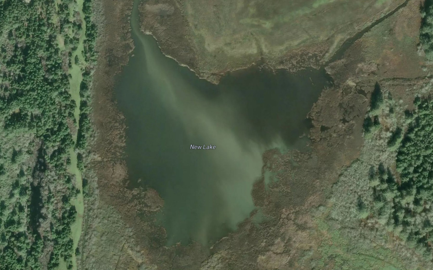 Satellite map of the New Lake