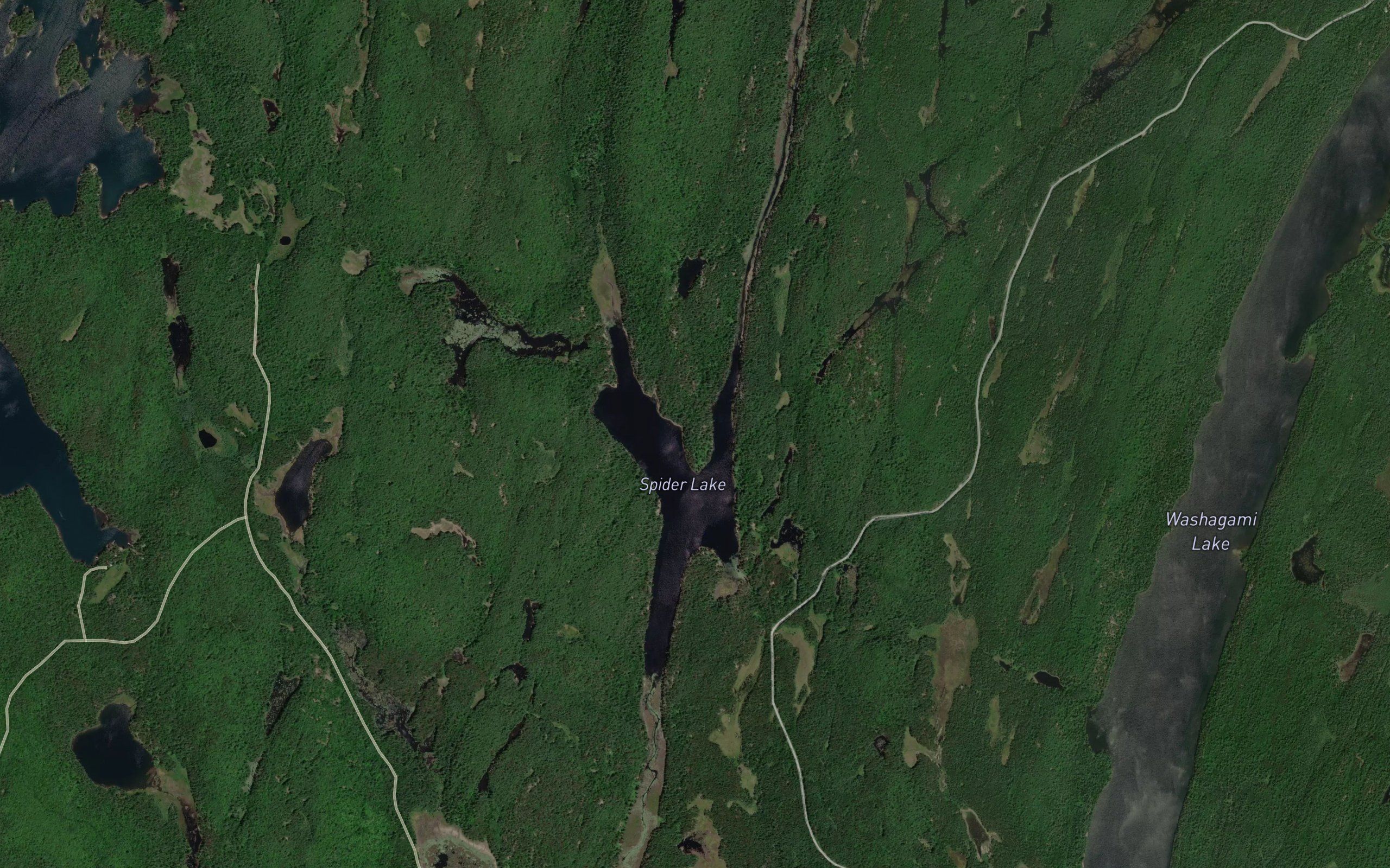 Spider Lake