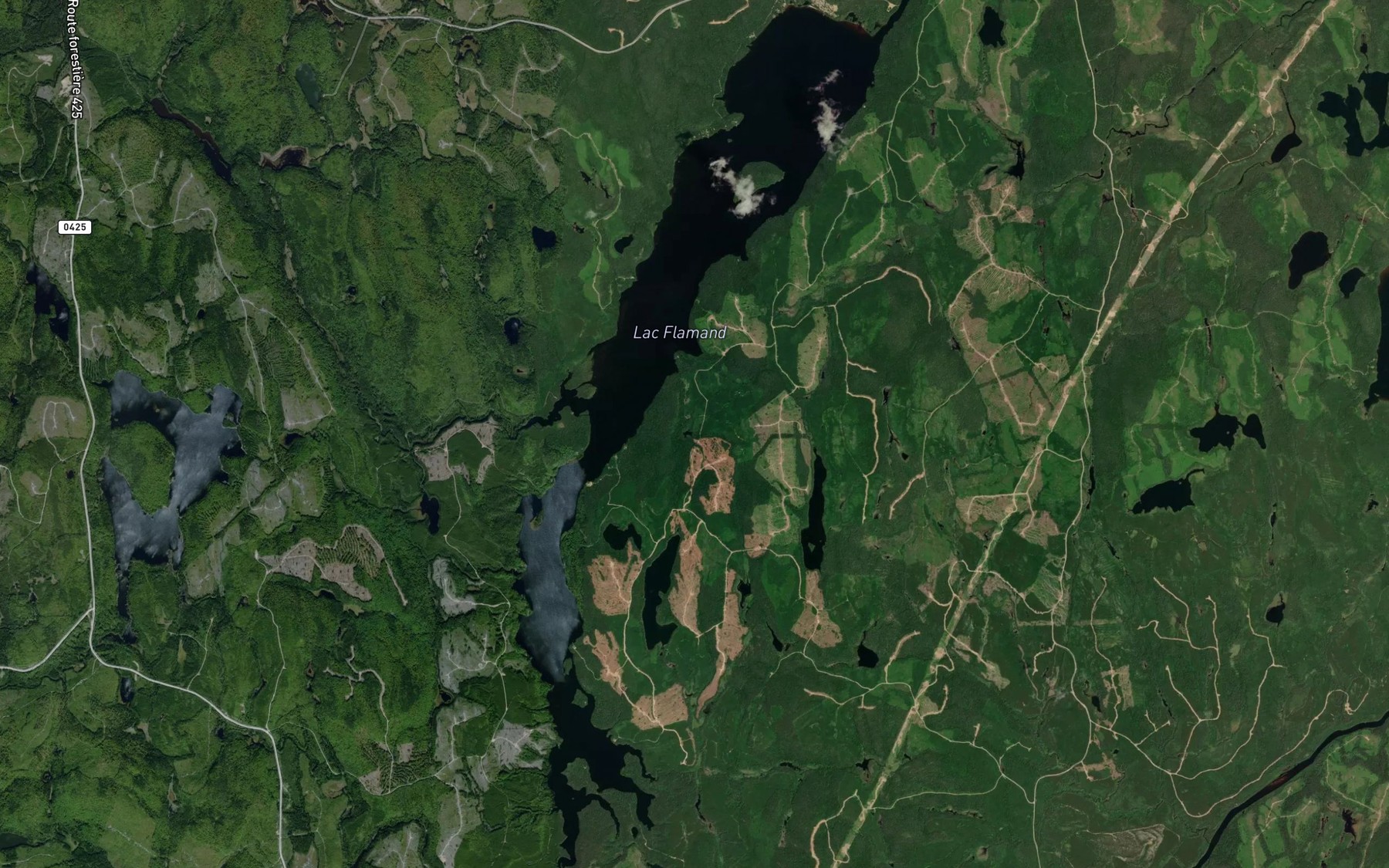 Satellite map of the Lac Flamand