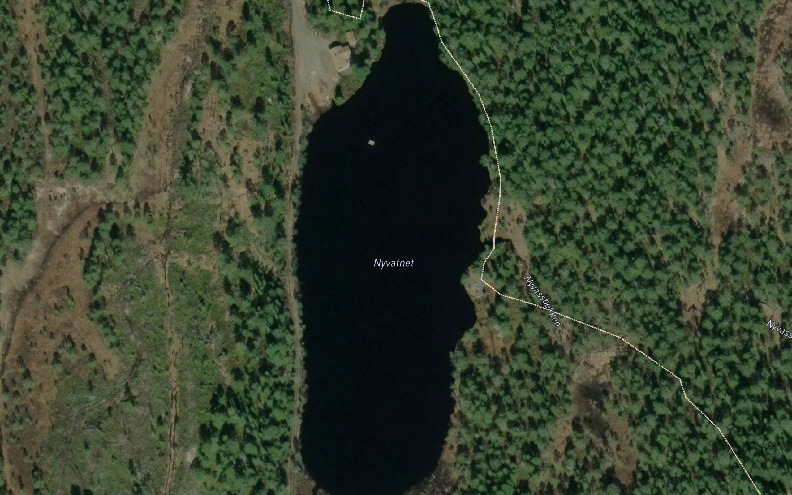 Nyvatnet