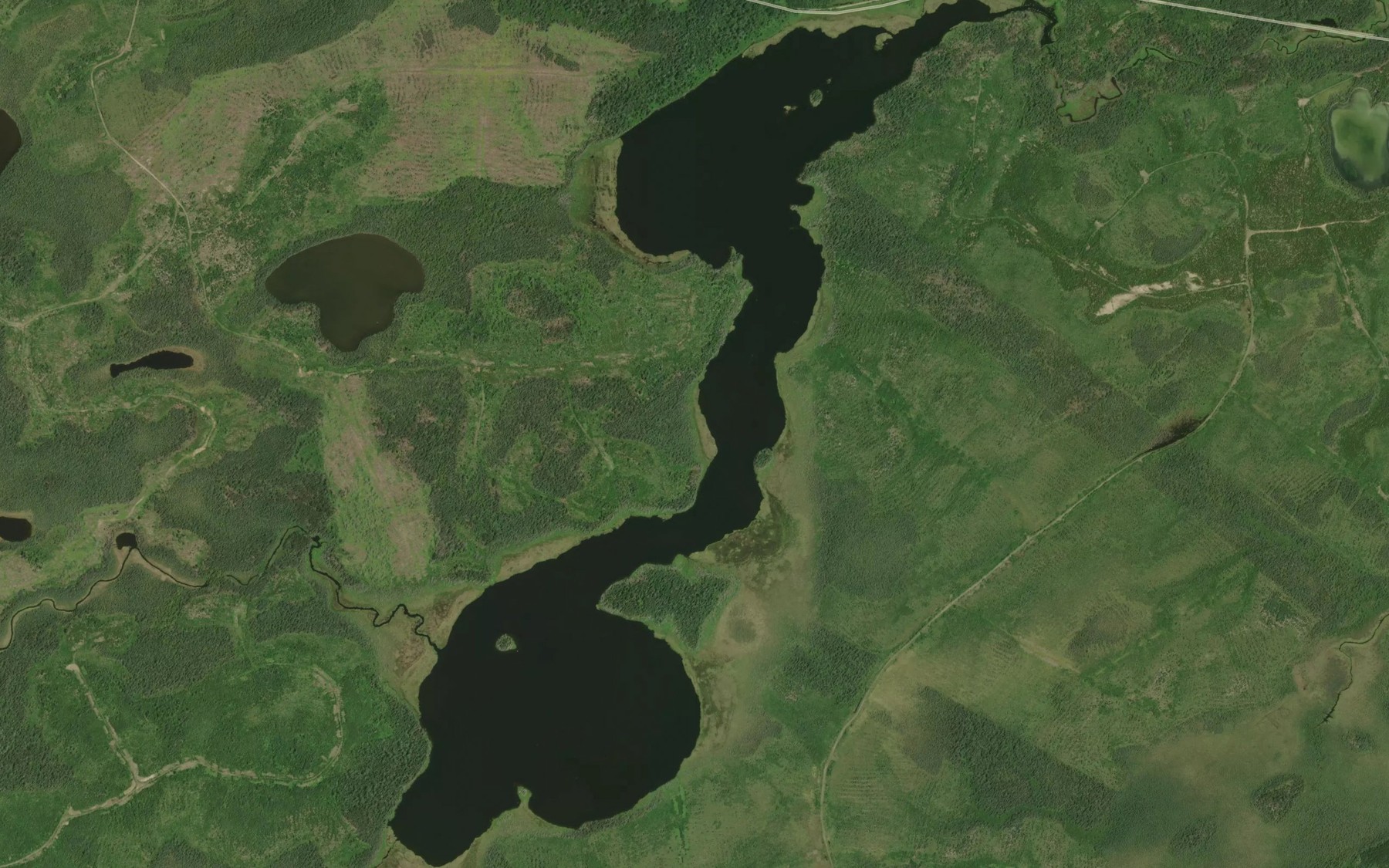 Satellite map of the Johnson Lake