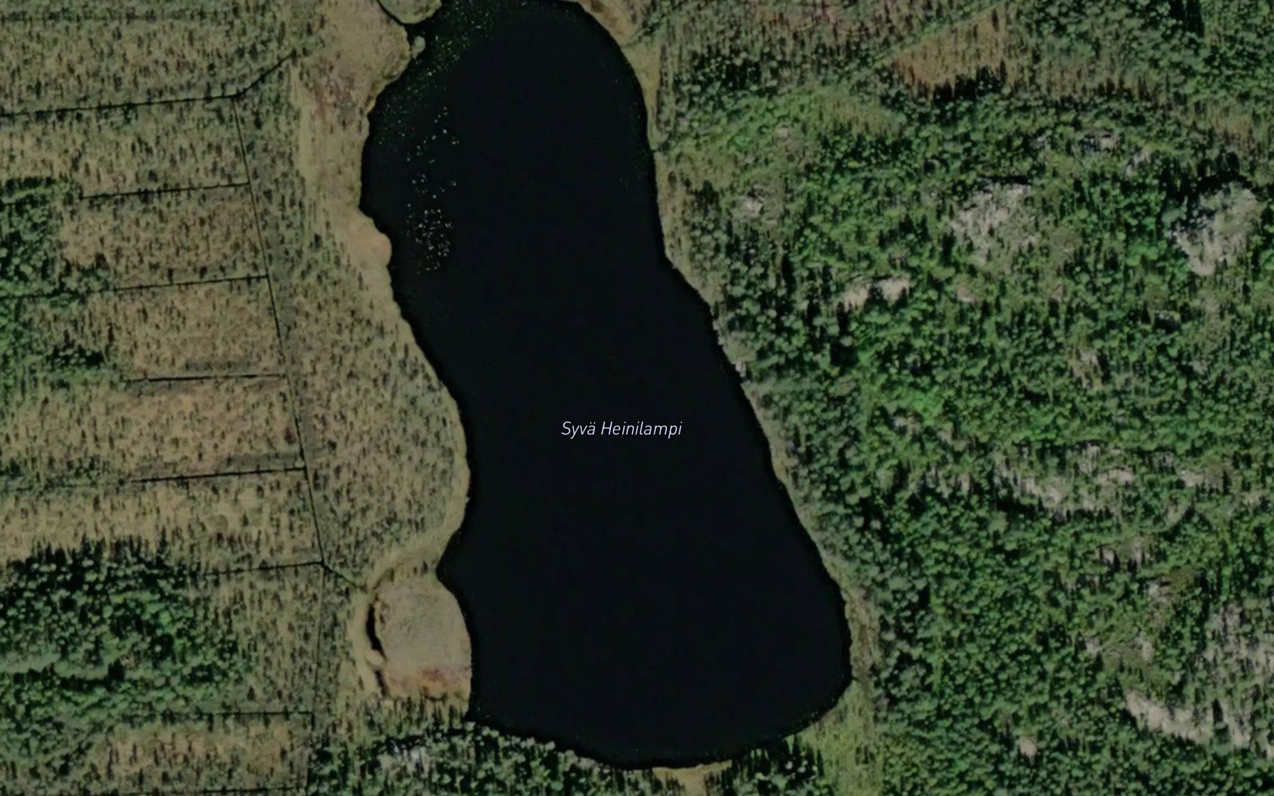 Syva Heinilampi
