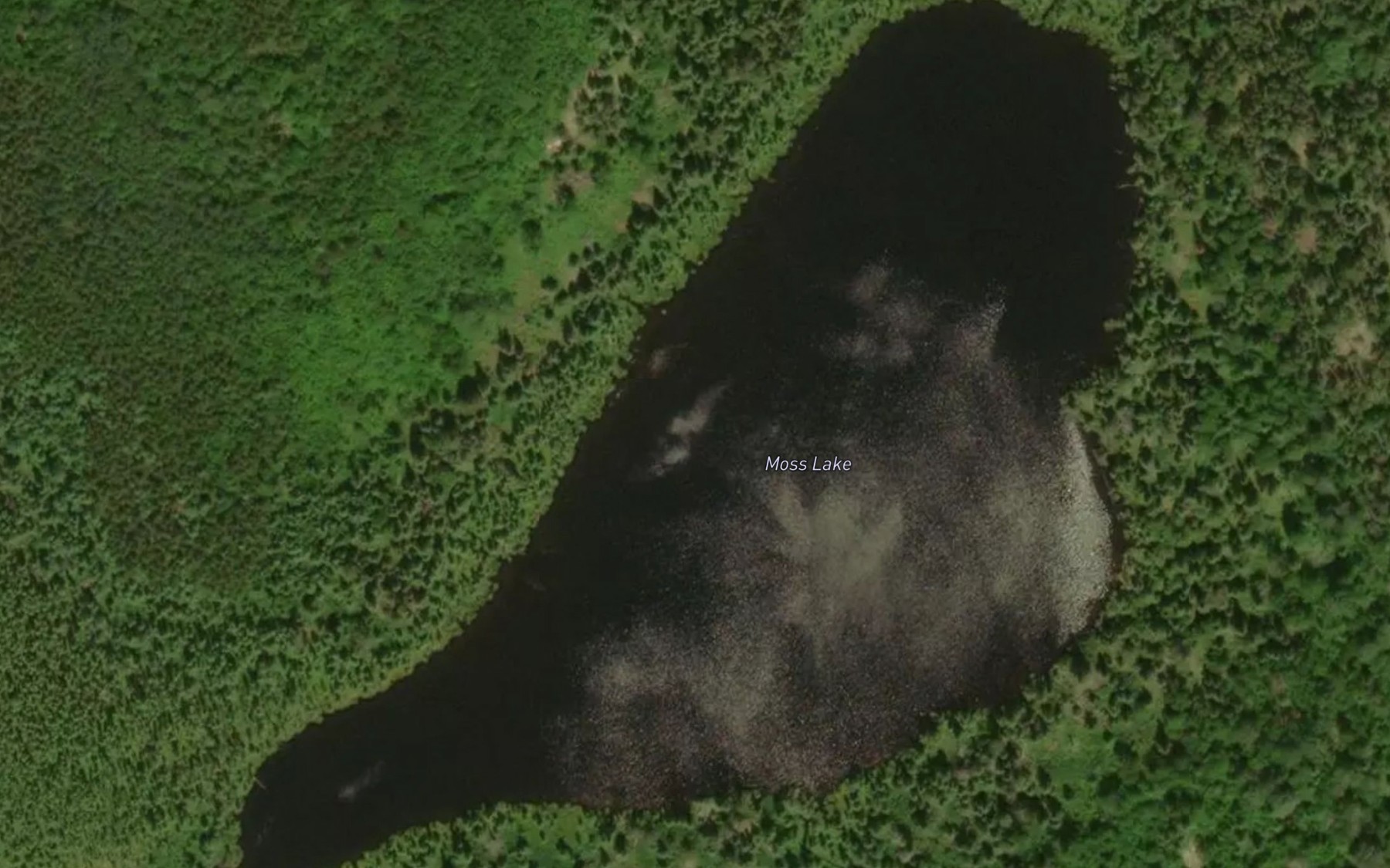 Satellite map of the Moss Lake