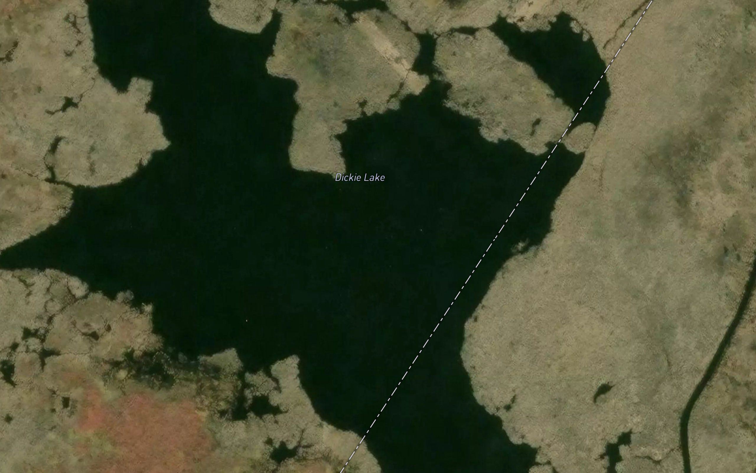 Dickie Lake