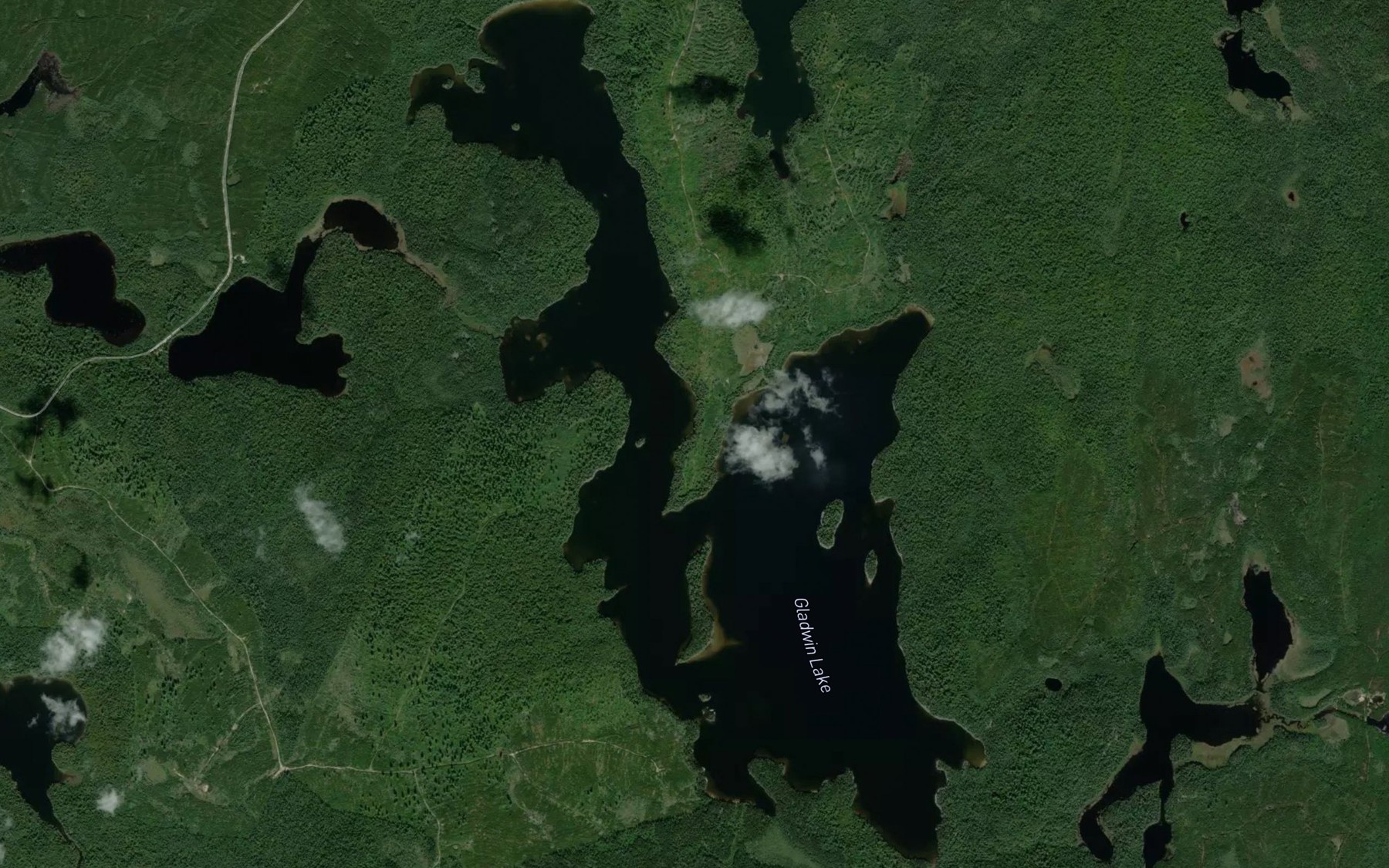 Satellite map of the Gladwin Lake