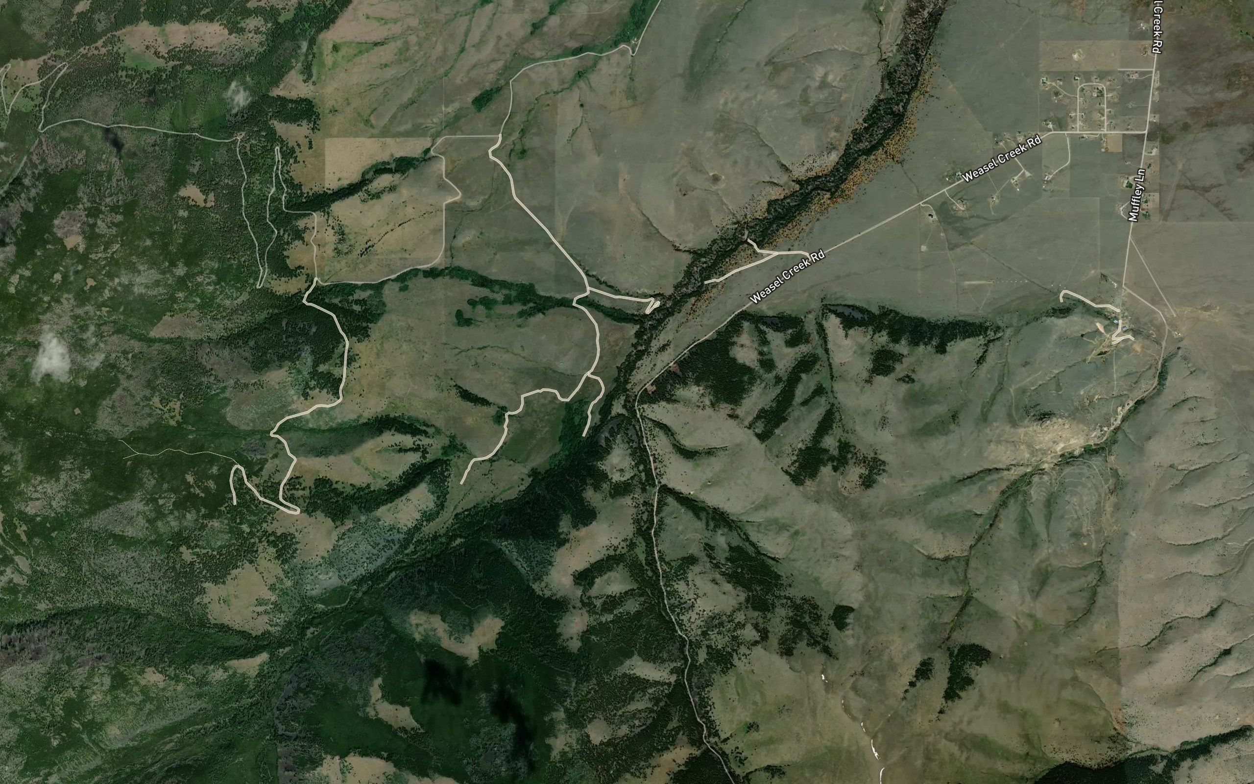 Weasel Creek