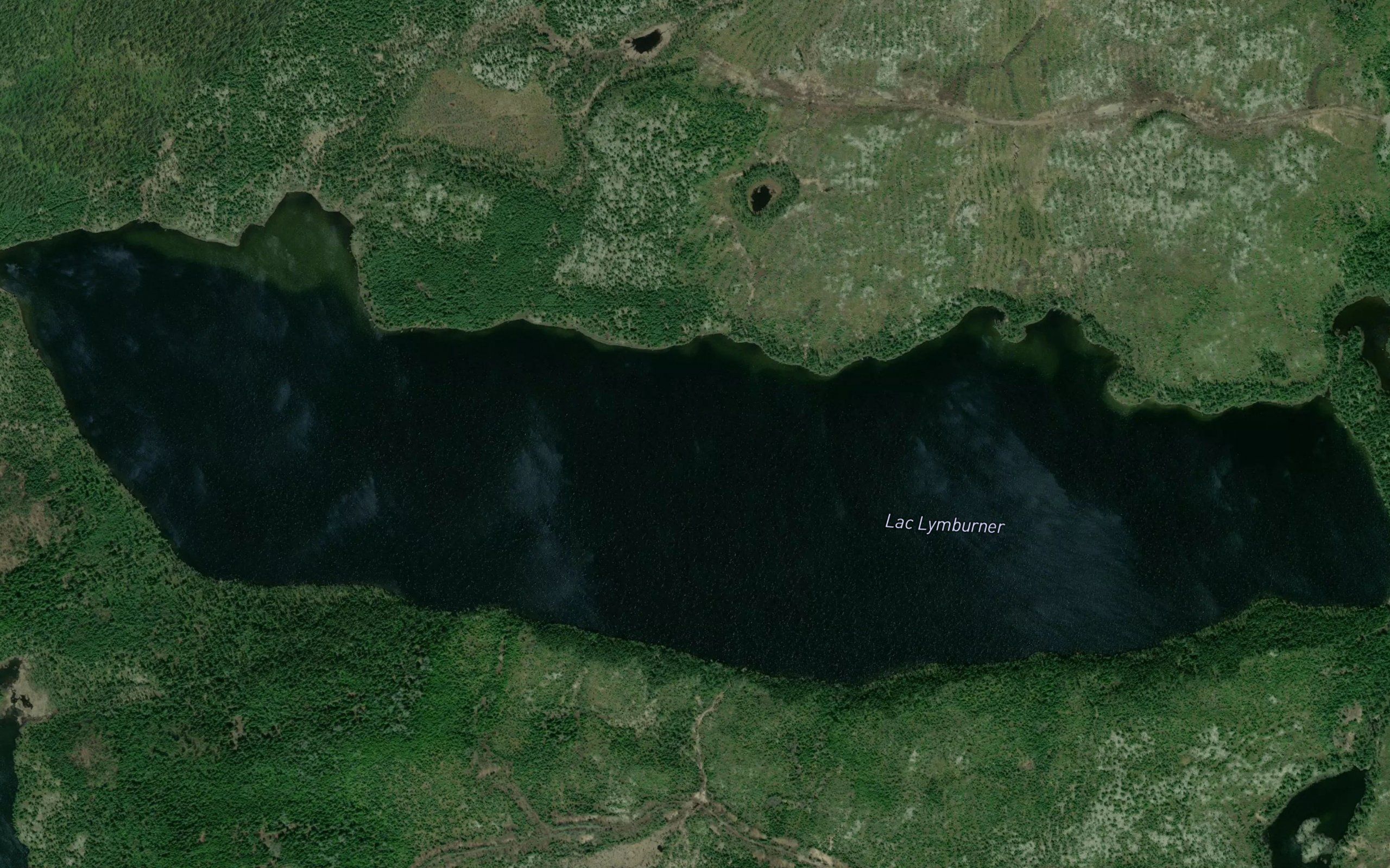 Lac Lymburner