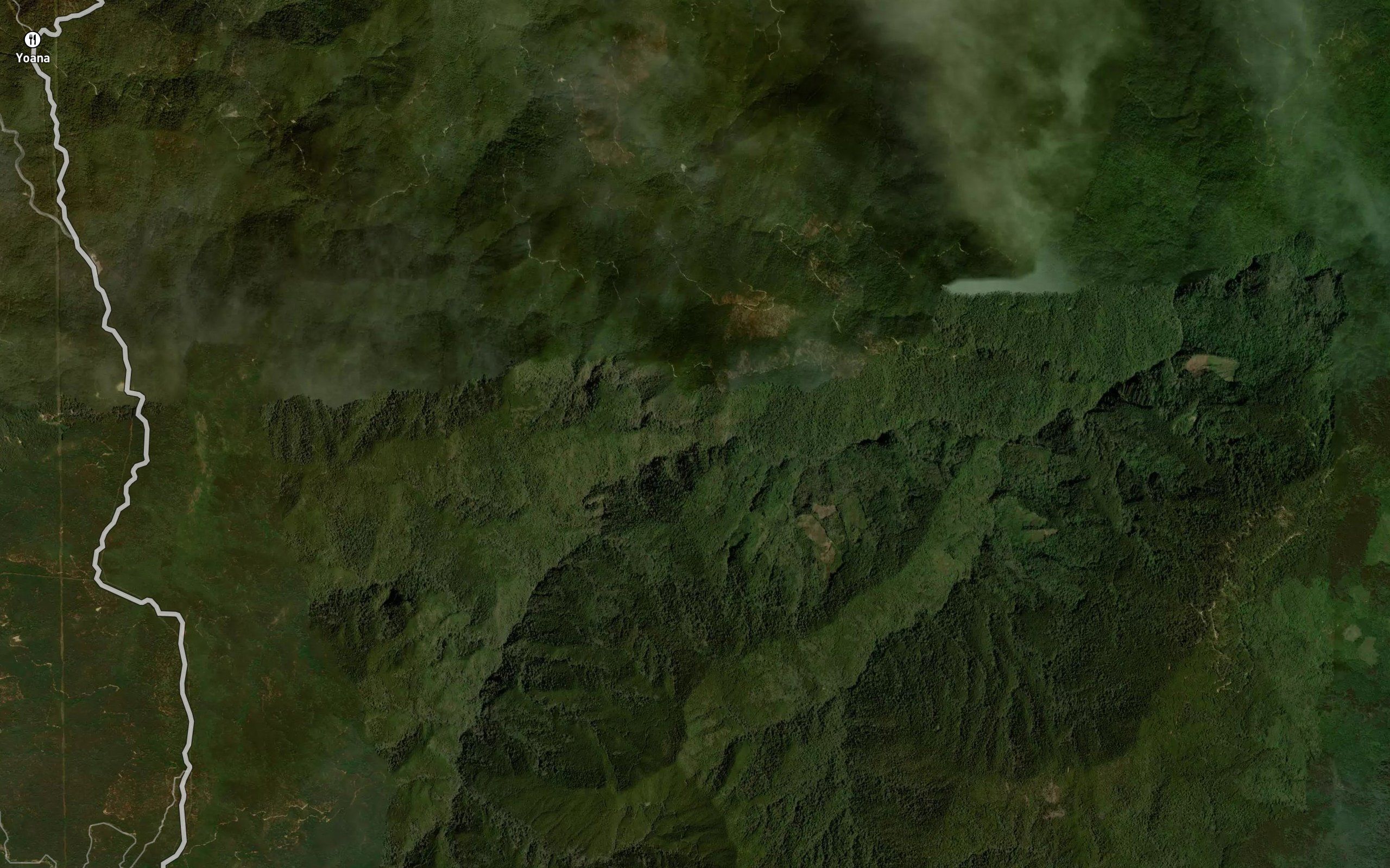 La Primavera