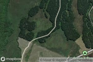 Te Whaiau Stream