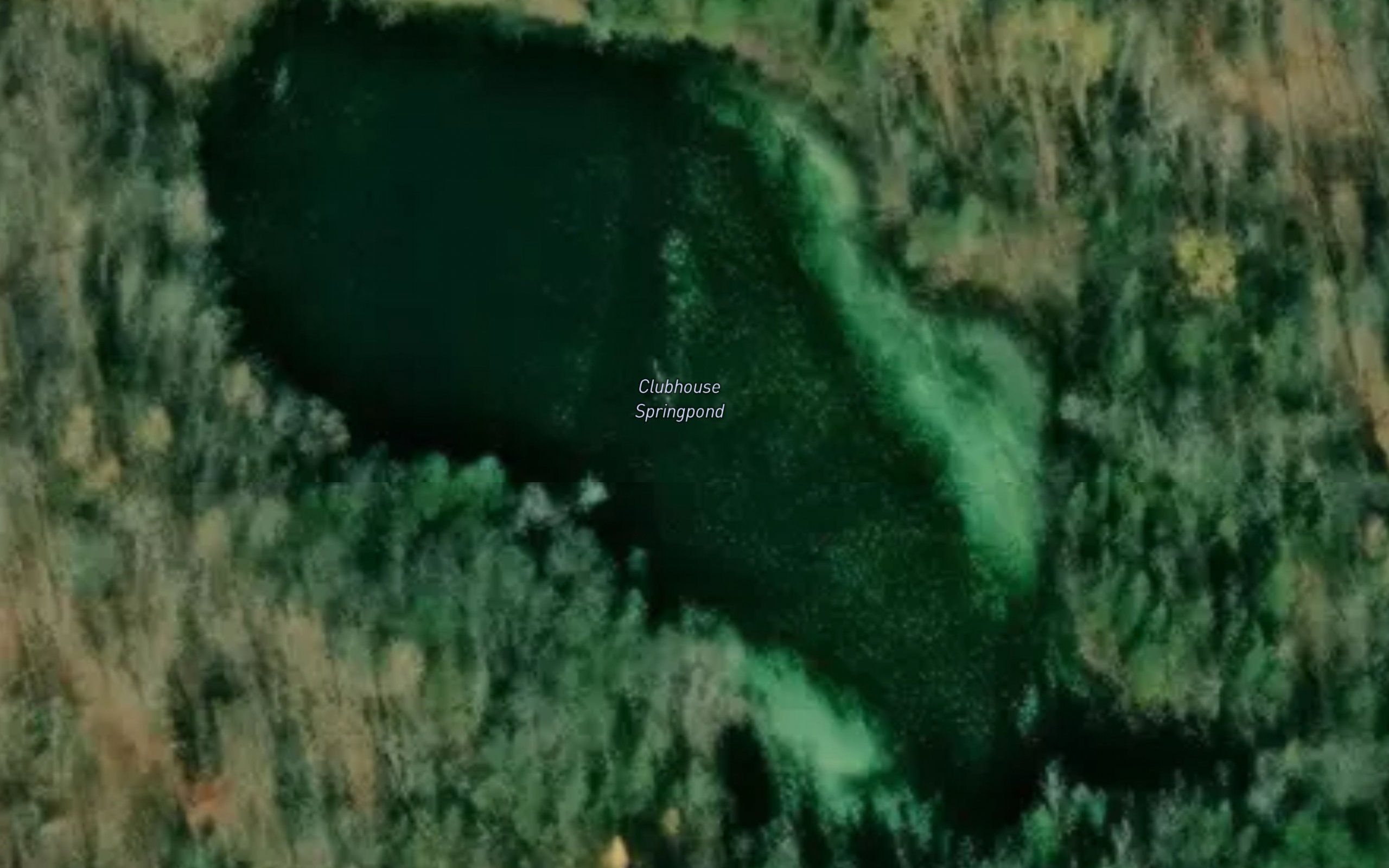 Clubhouse Springpond