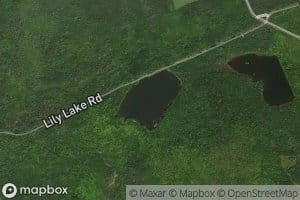 Lily Lake