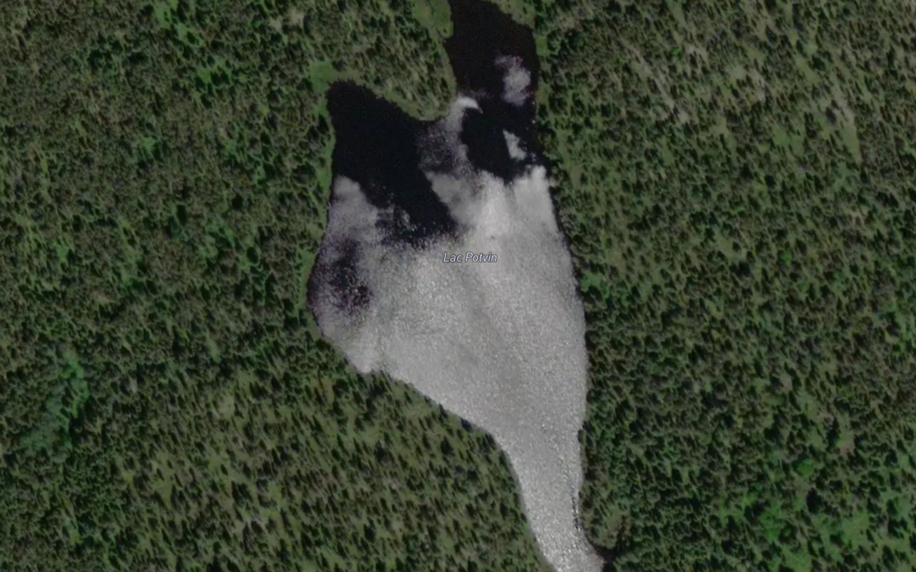 Satellite map of the Lac Potvin