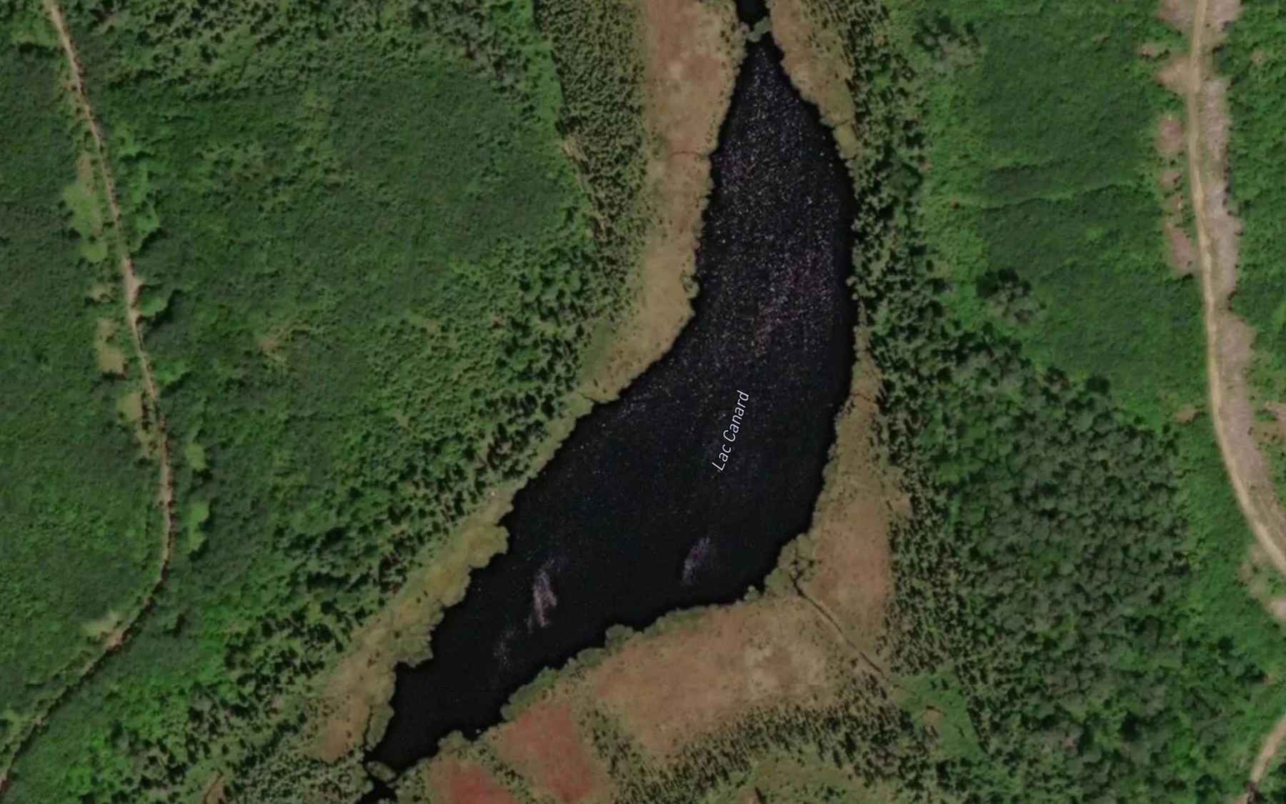 Satellite map of the Lac Canard