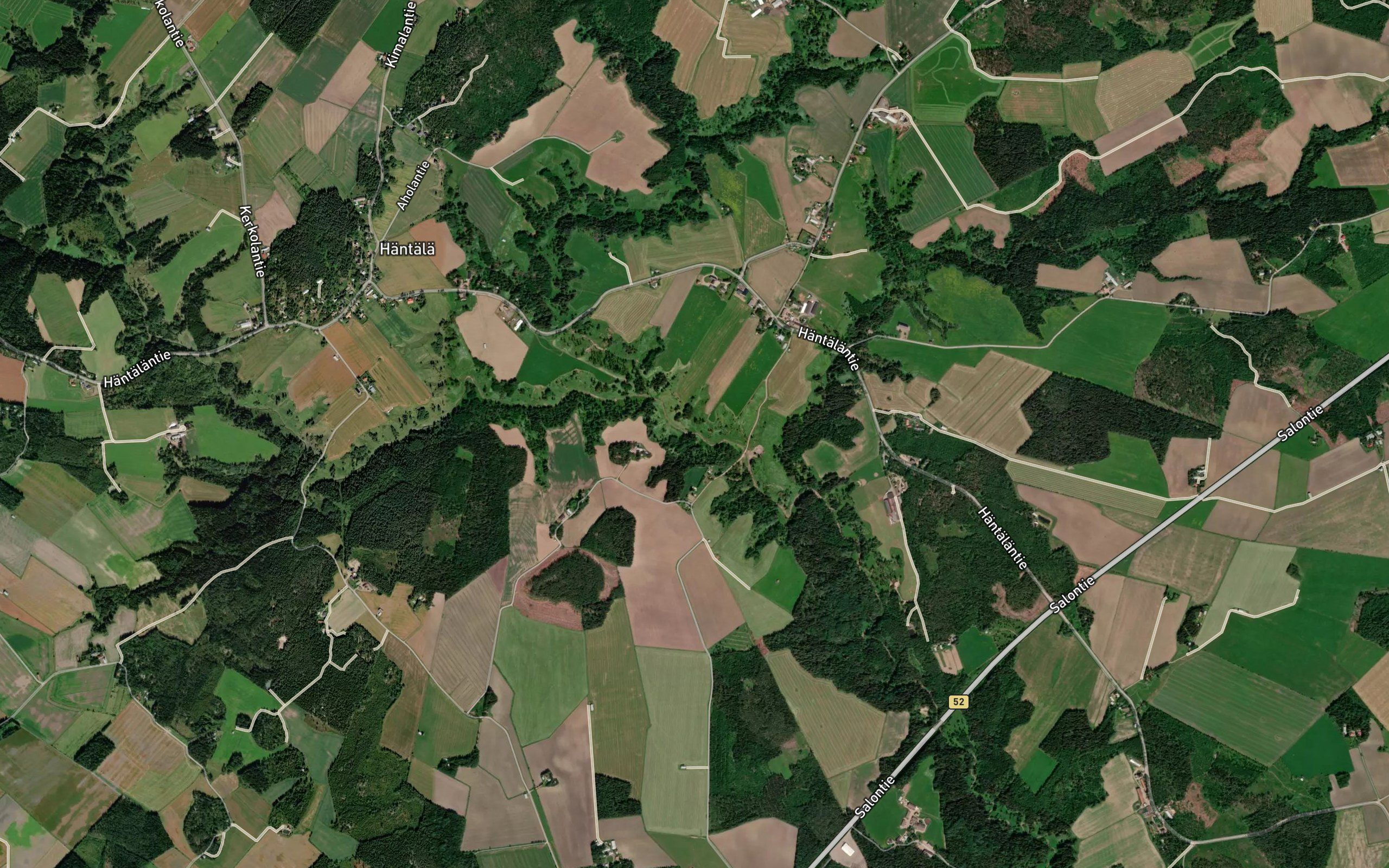Lehtioja