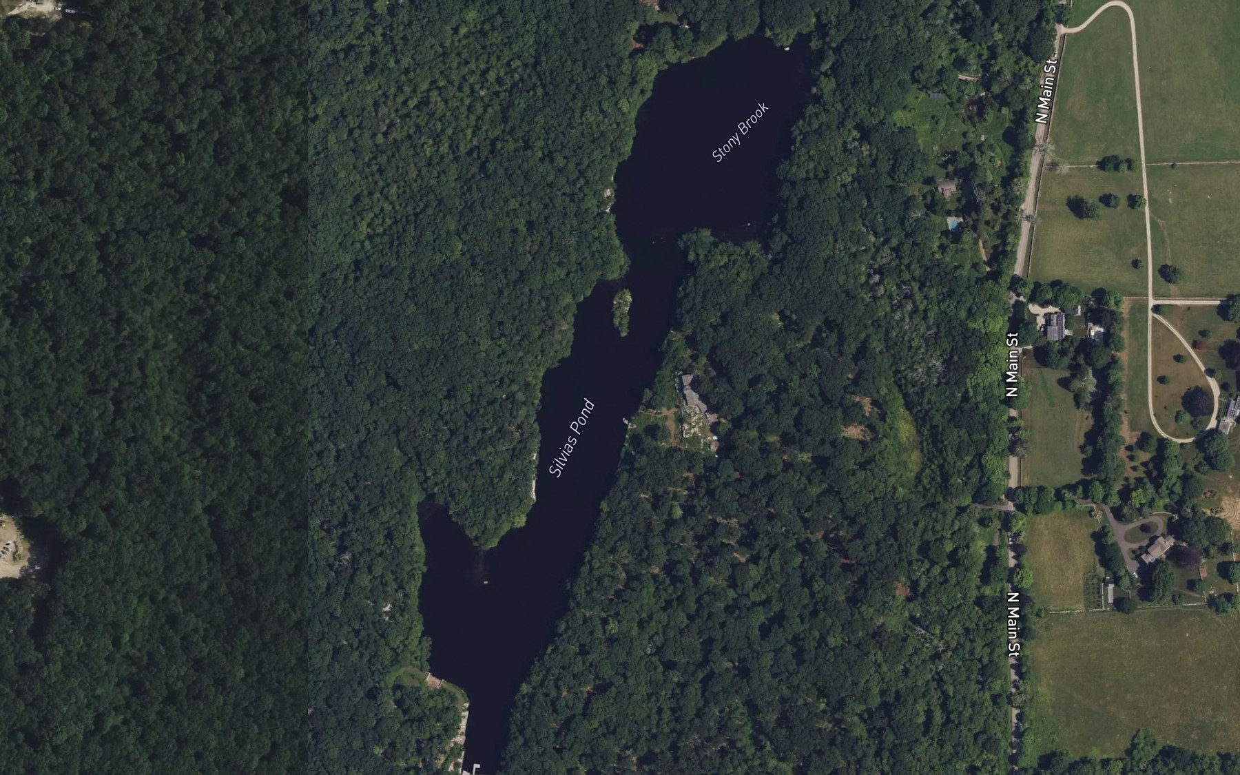 Satellite map of the Silvias Pond
