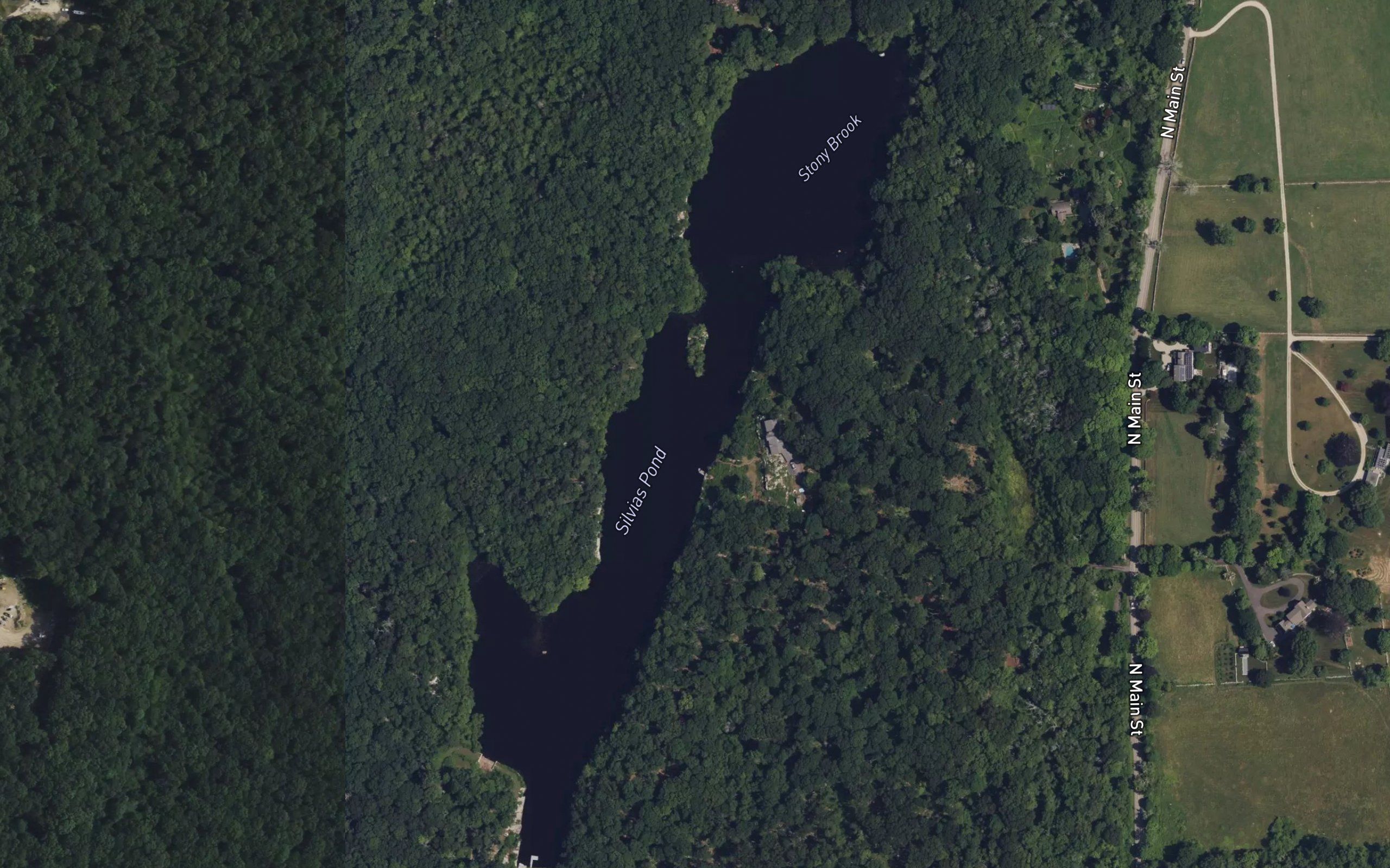 Silvias Pond