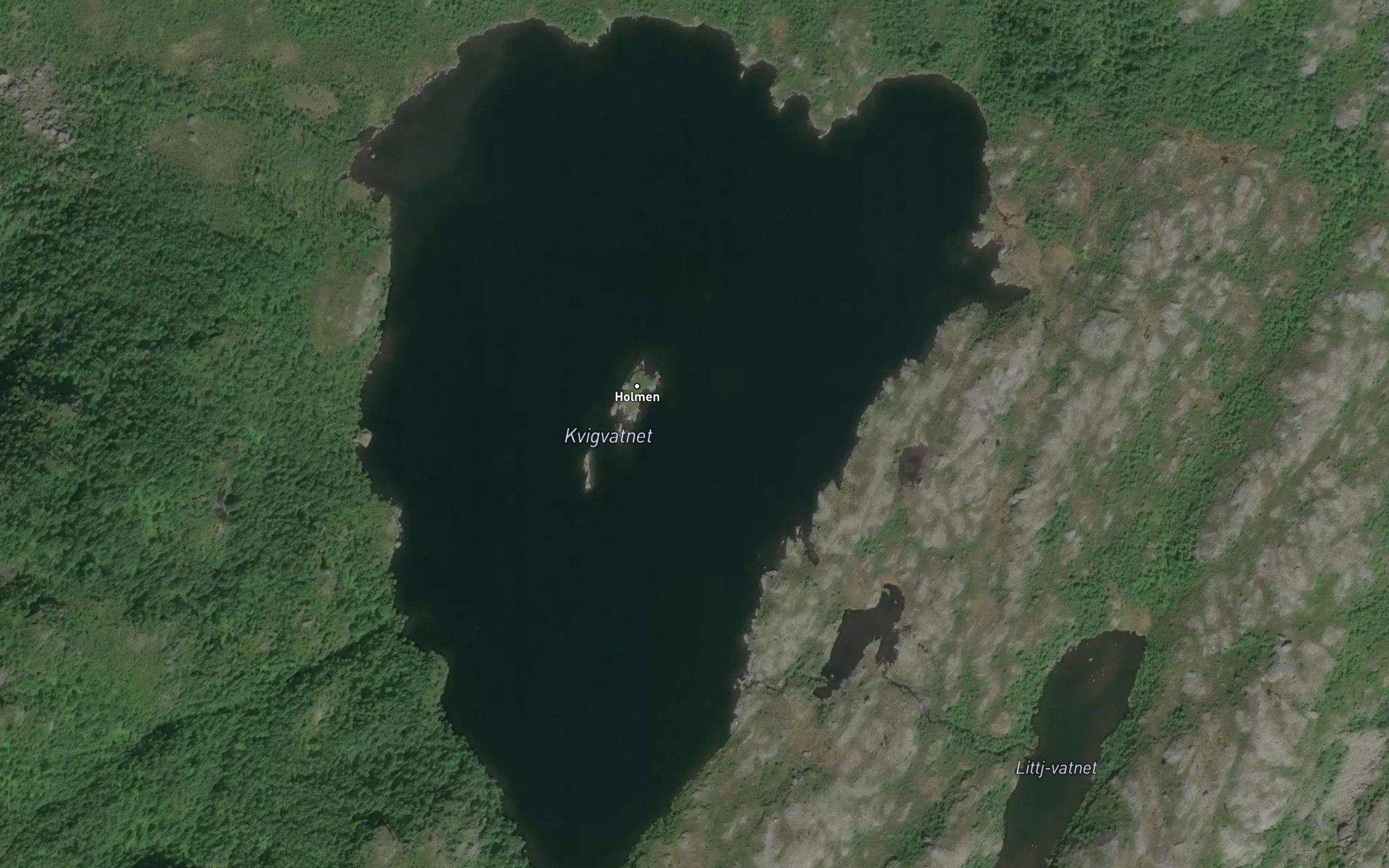 Kvigvatnet