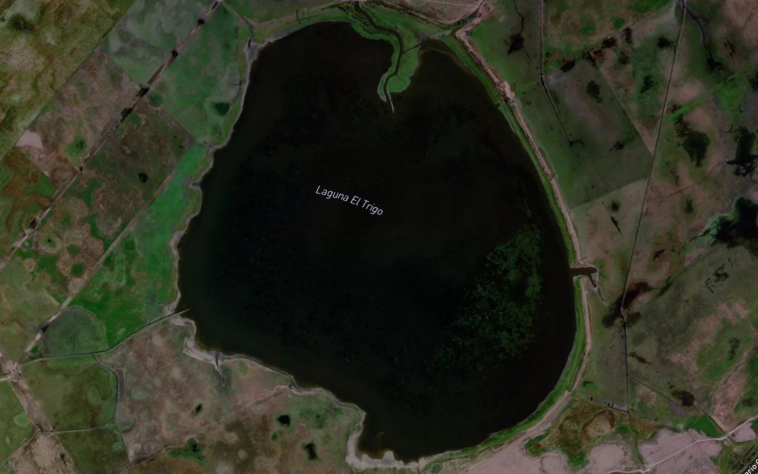 Laguna El Trigo