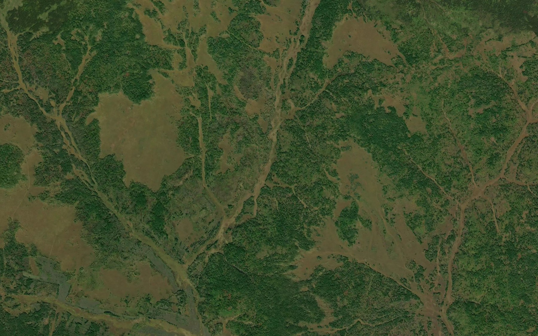 Satellite map of the Pad' Kamenushka