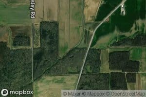 North Fork Little Pigeon Creek