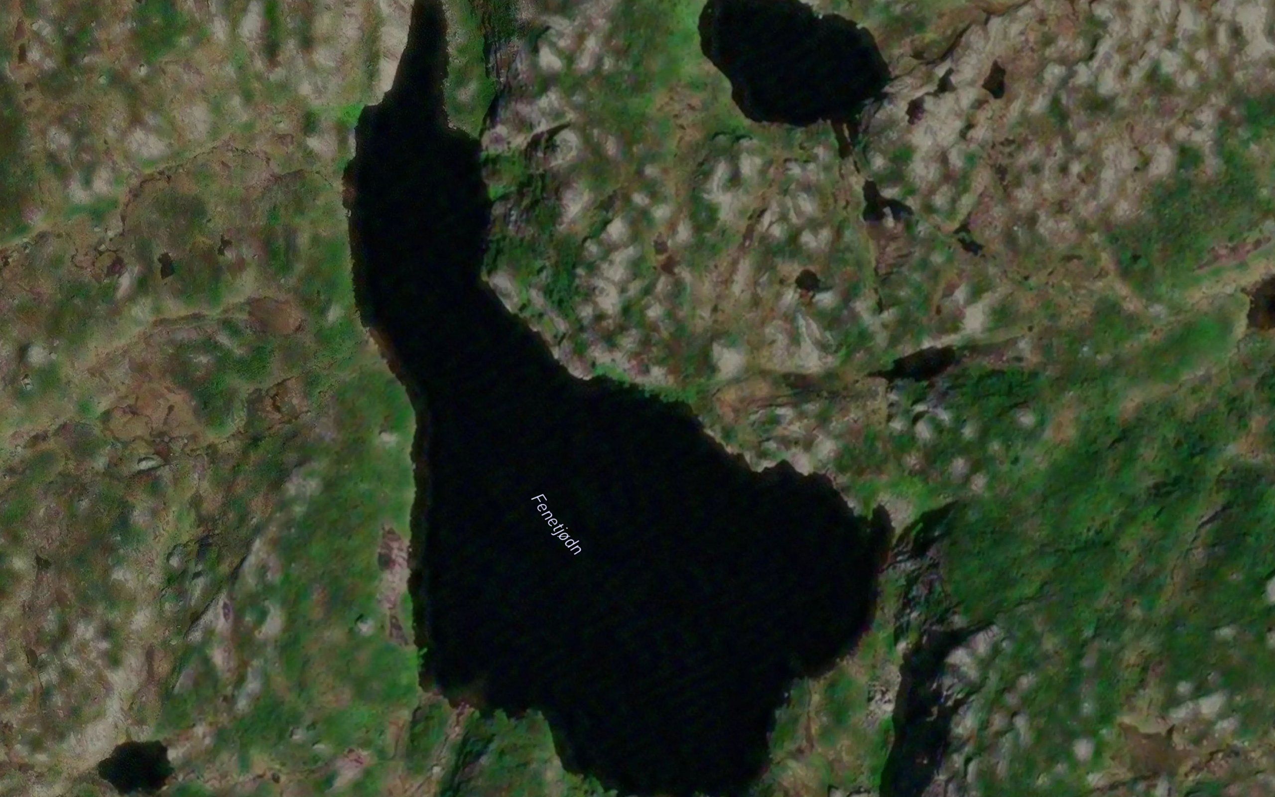 Fenetjorn