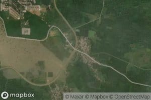 Distributary Number Seven