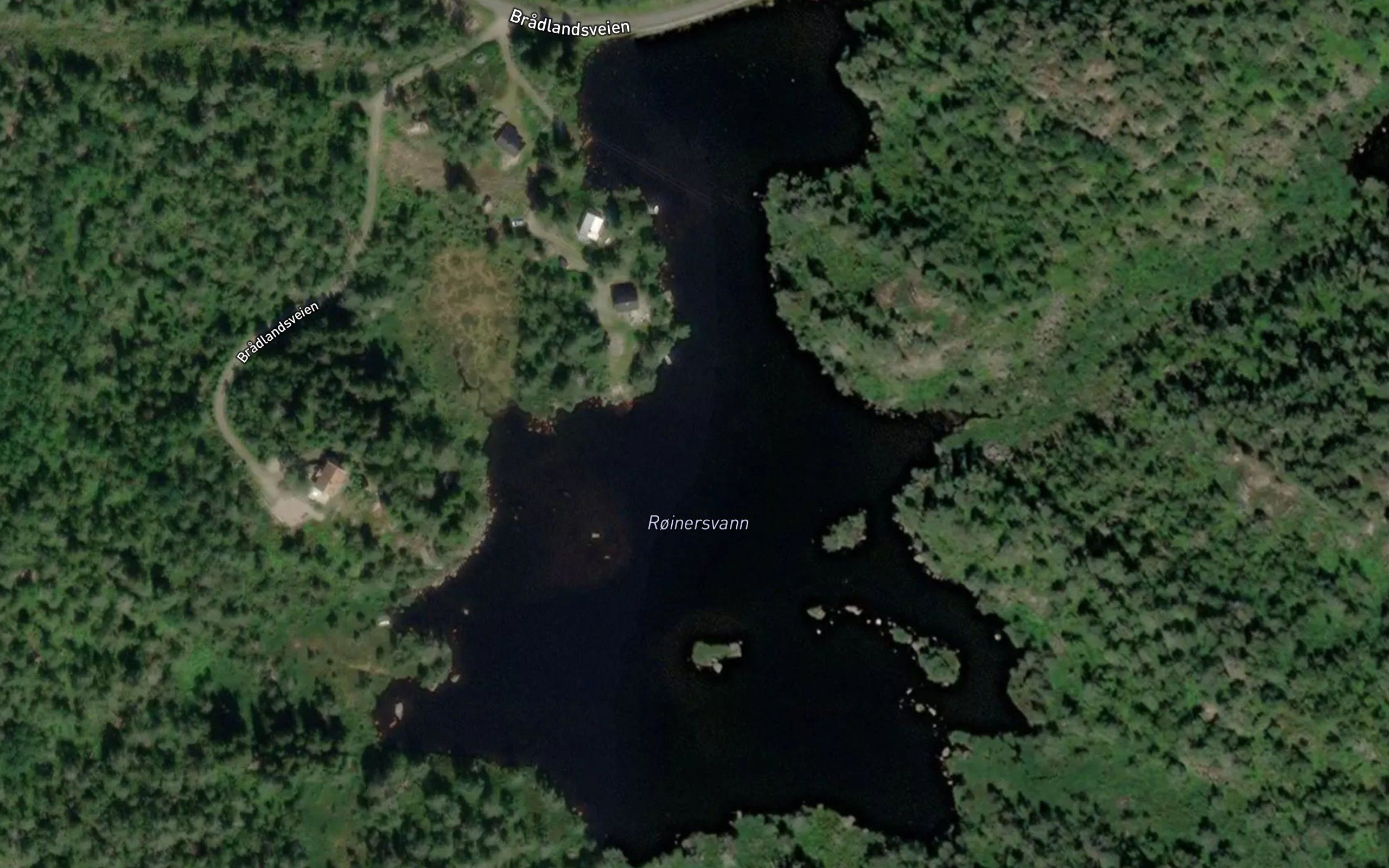 Roinersvann