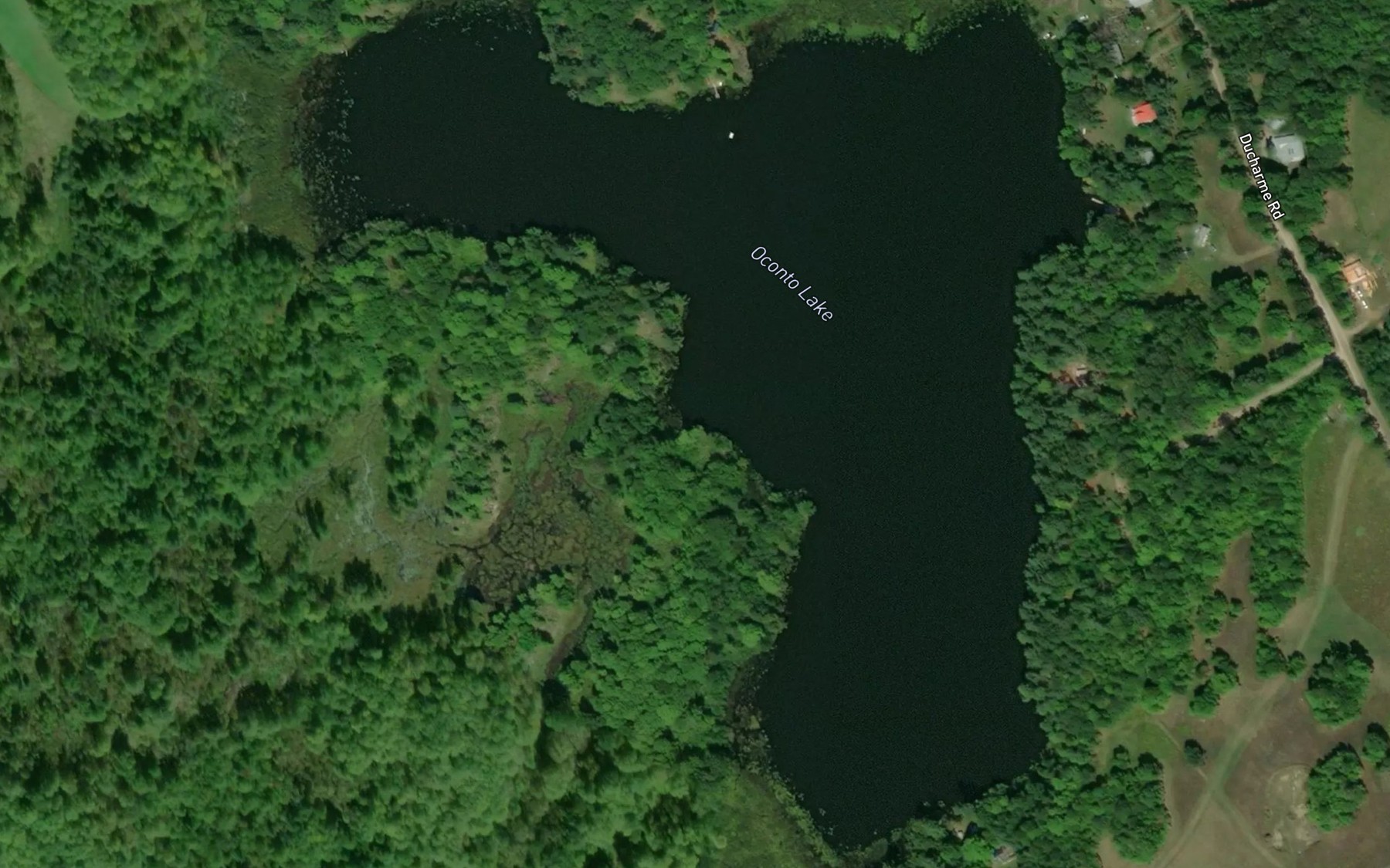Satellite map of the Oconto Lake