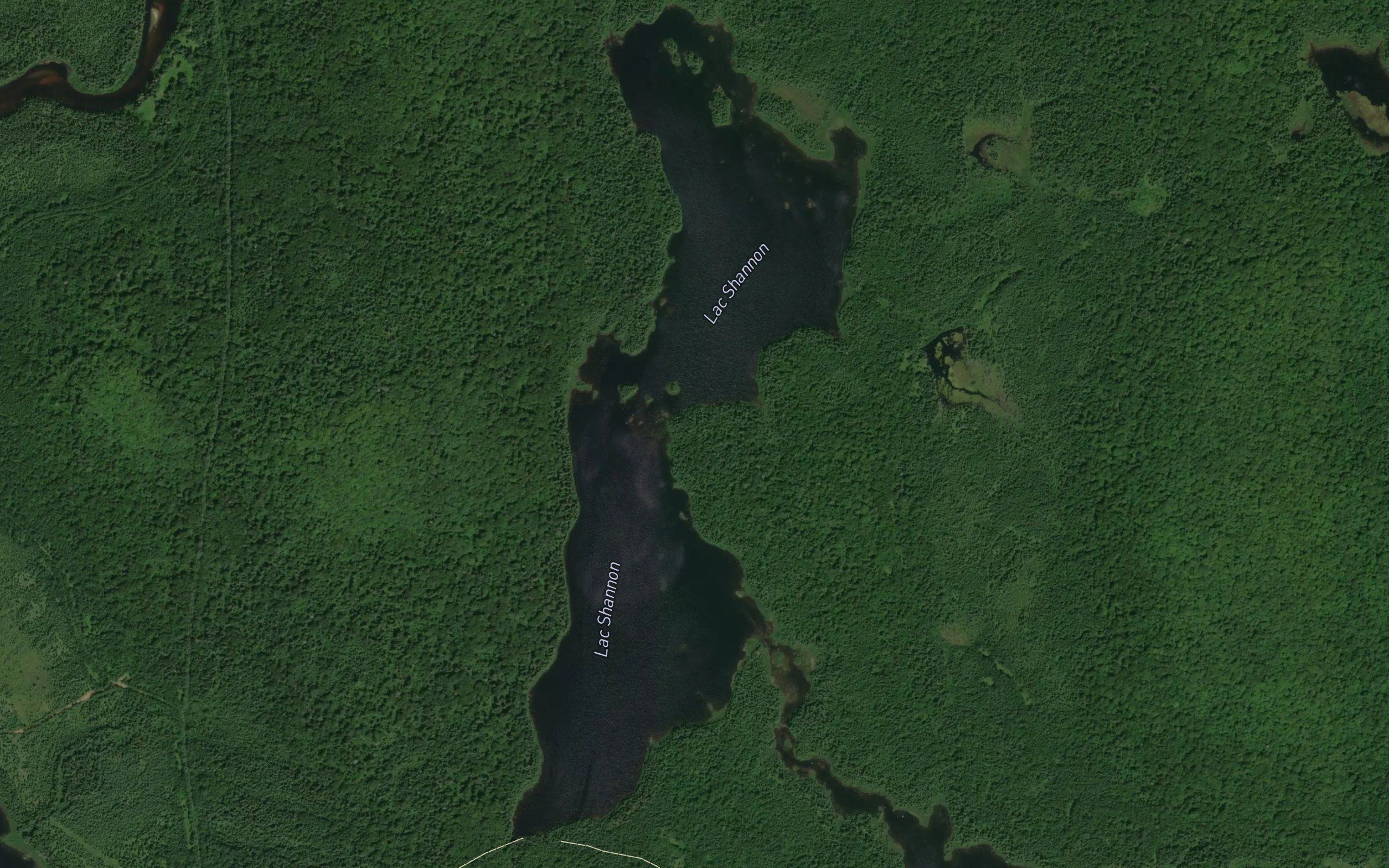 Lac Shannon