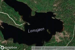 Lomsjoen