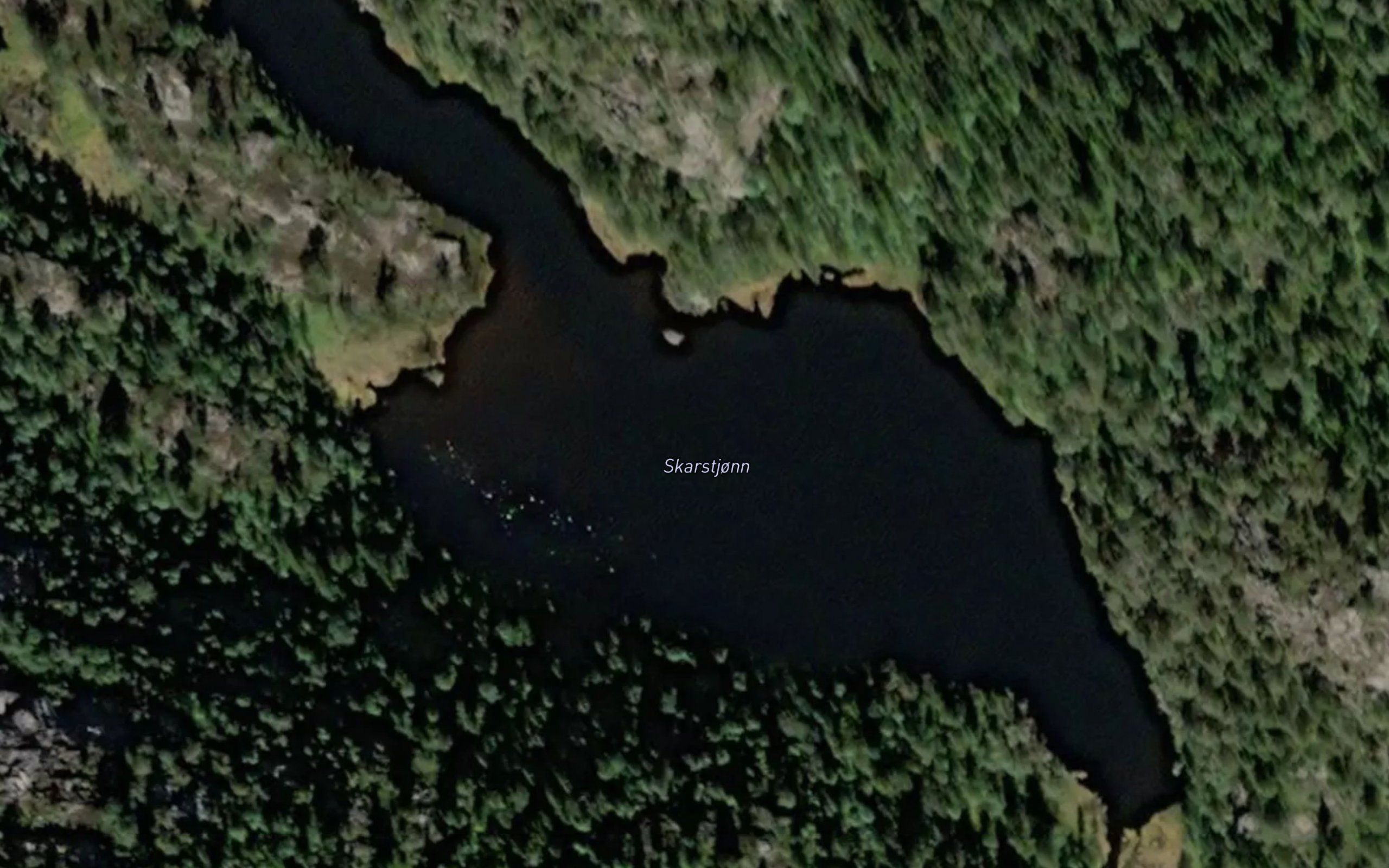 Skardstjorn