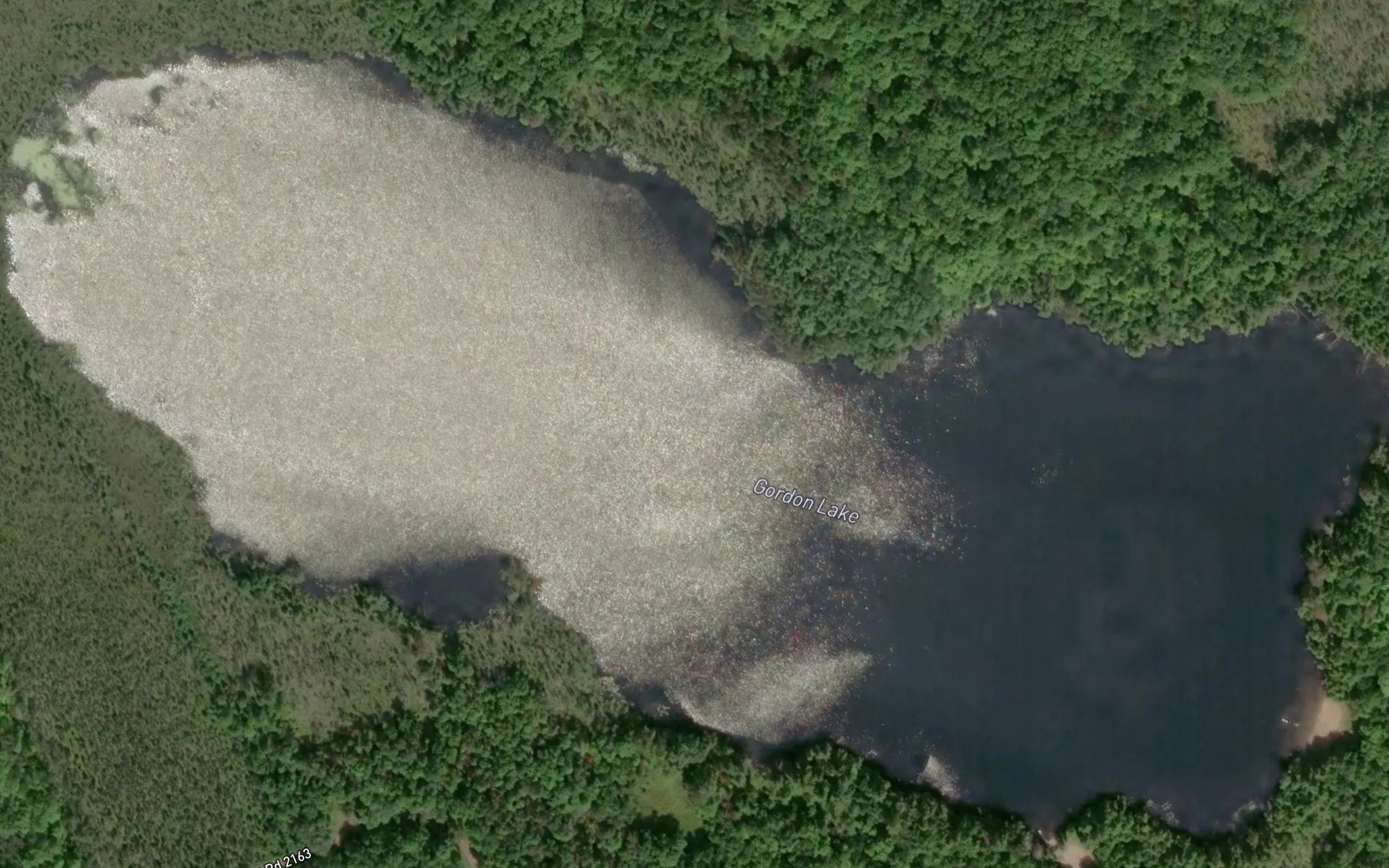 Satellite map of the Lake Gordon