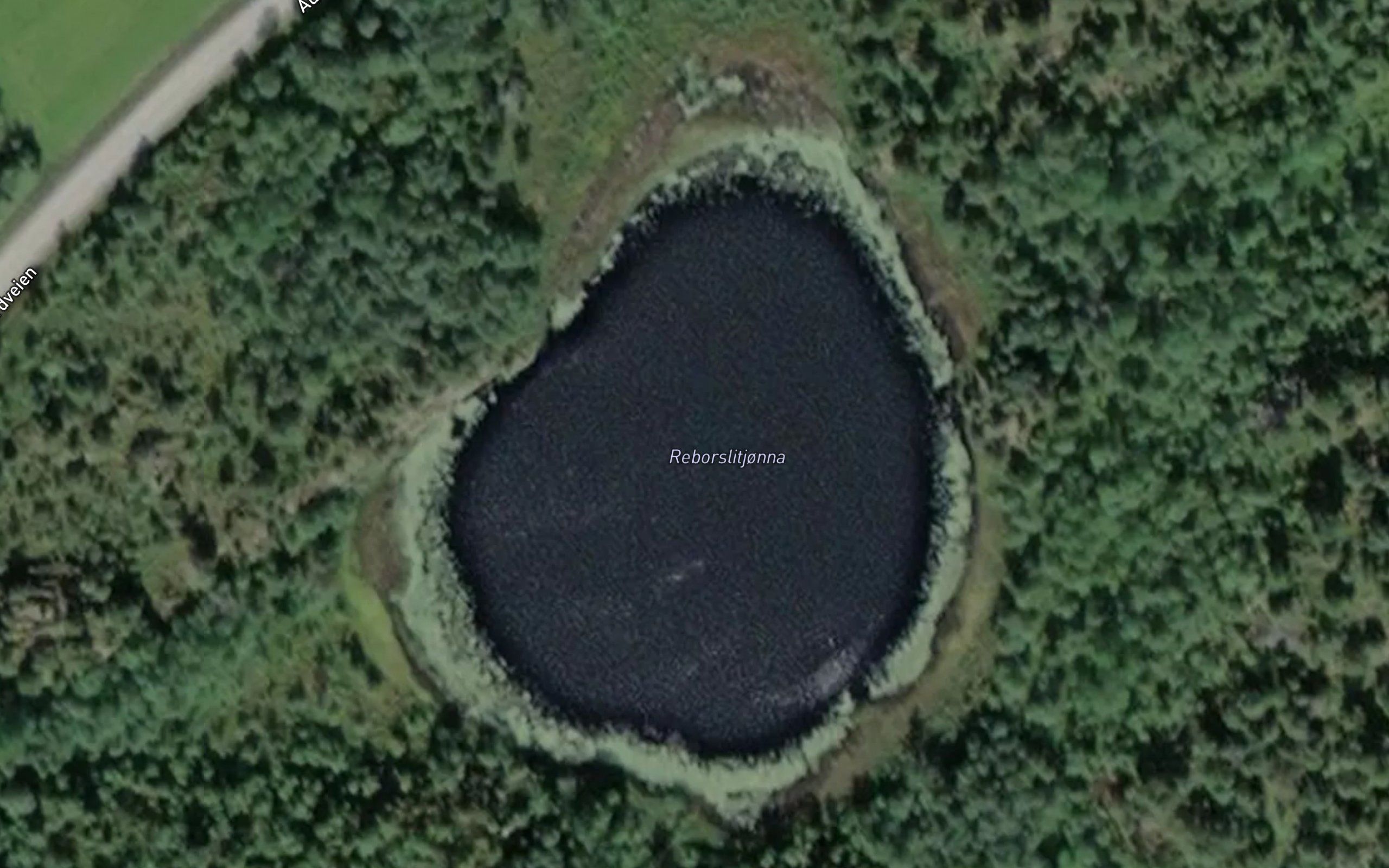 Roborslitjorna