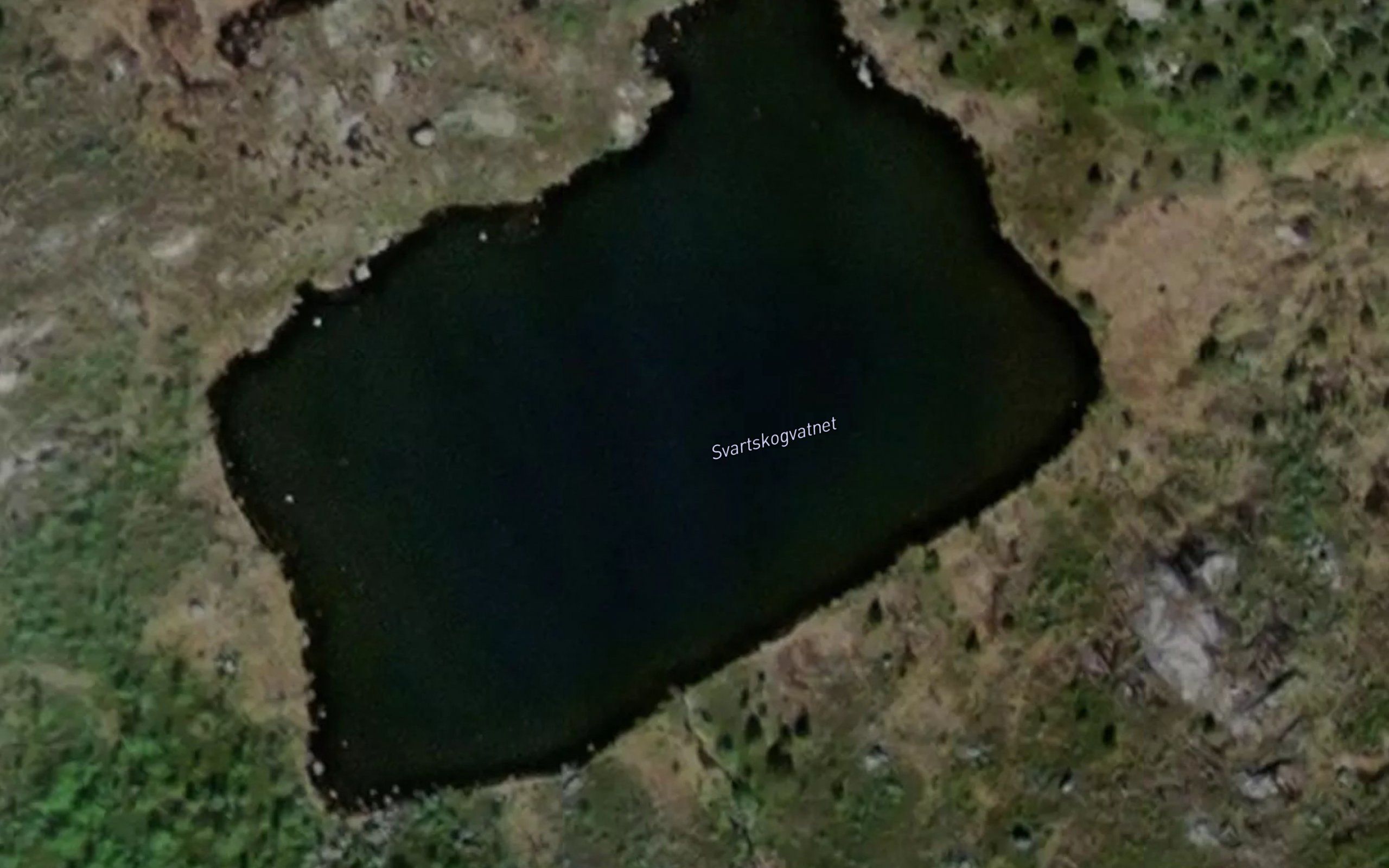 Svartskogvatnet