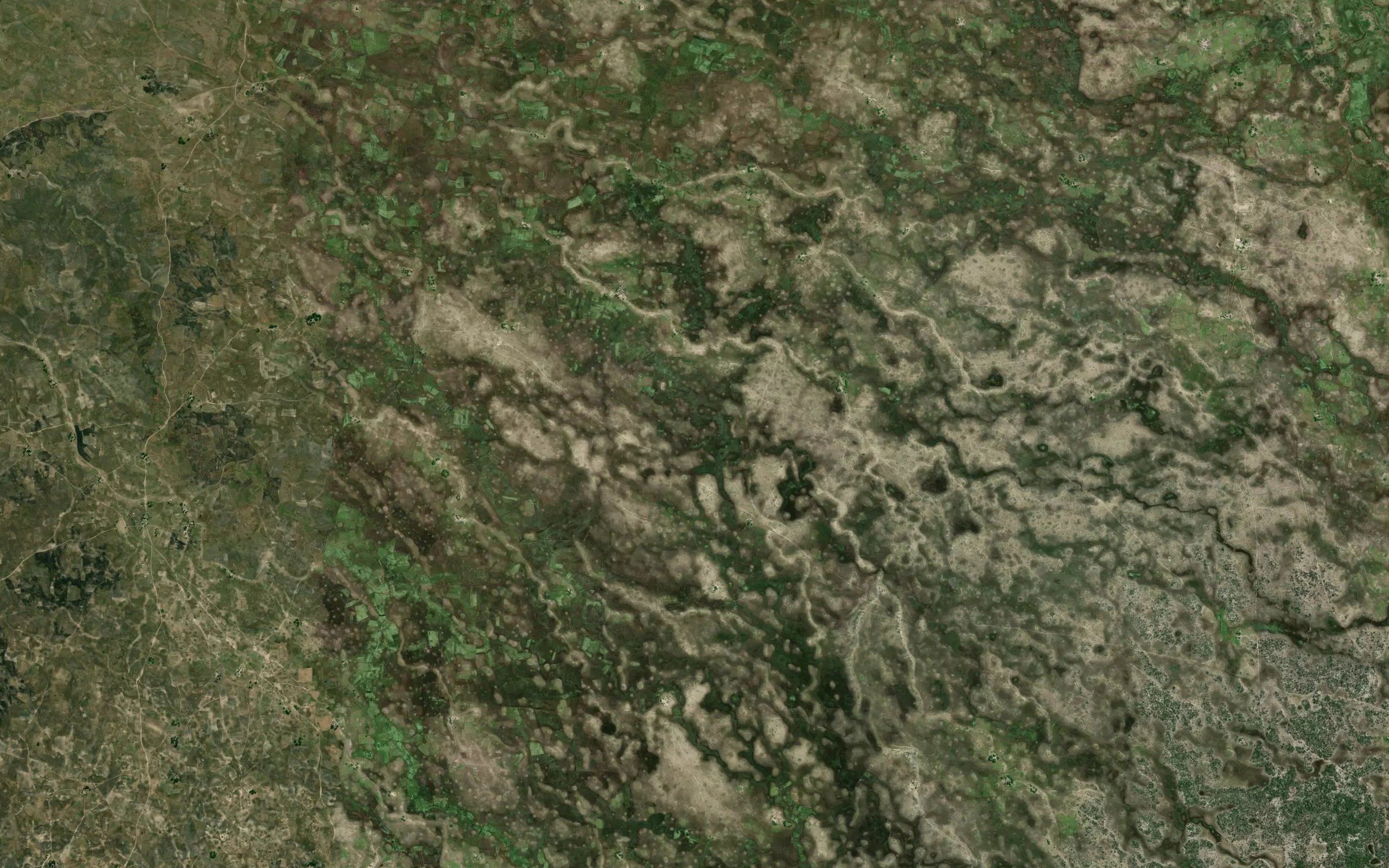 Natalui
