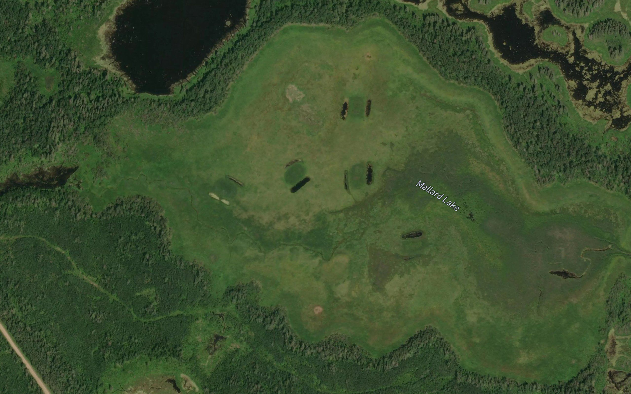 Mallard Lake