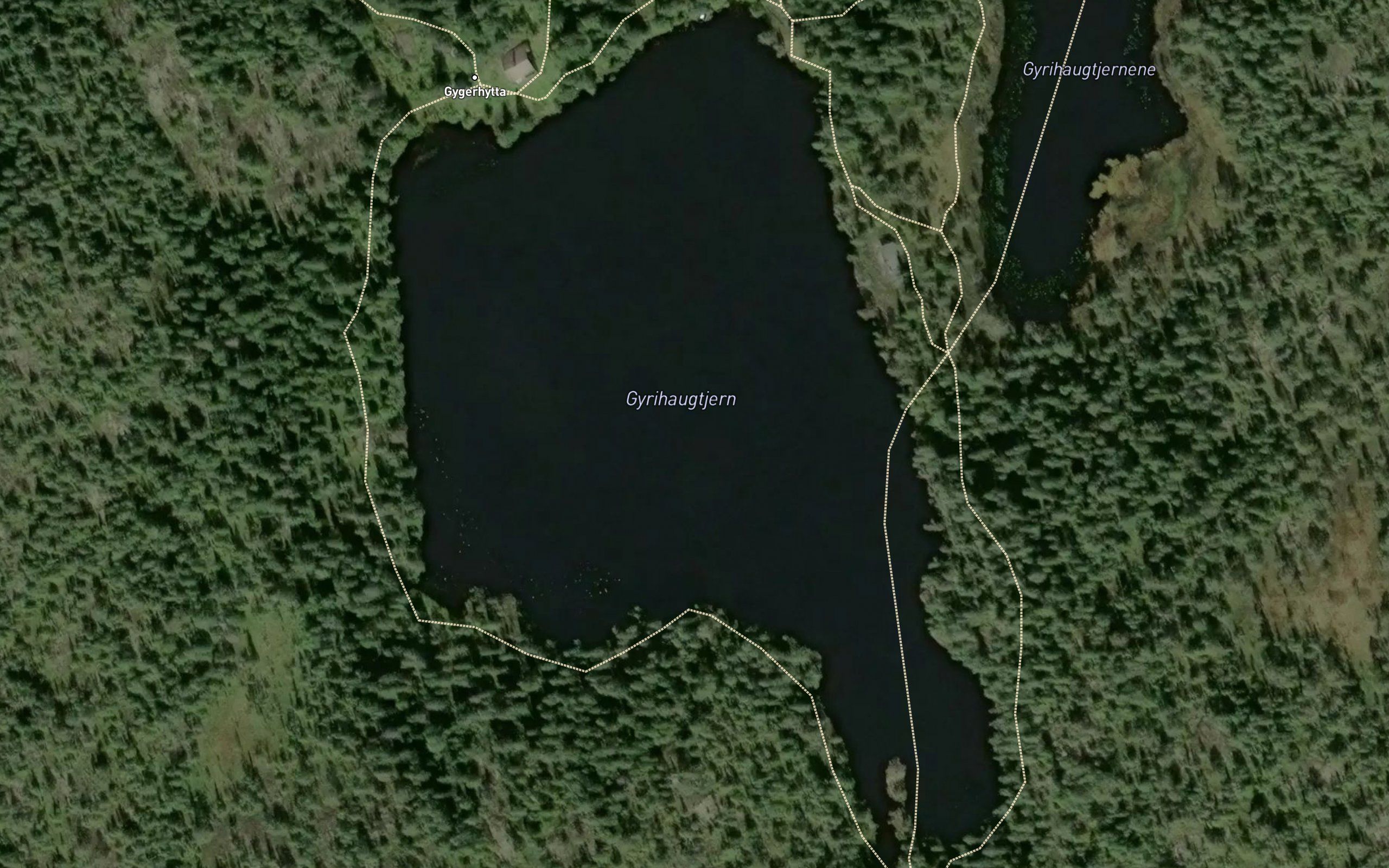 Gyrihaugtjerna
