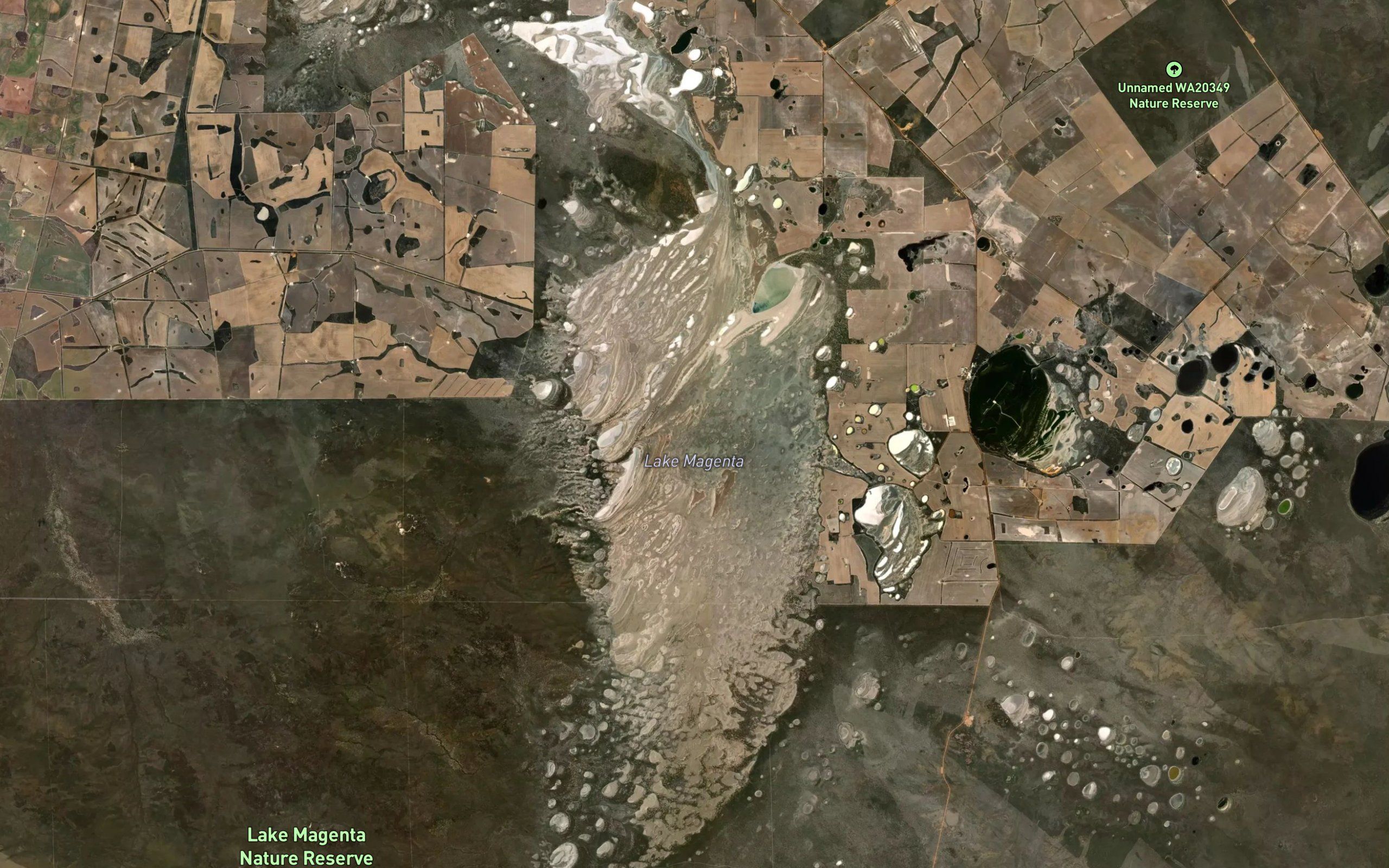 Lake Magenta