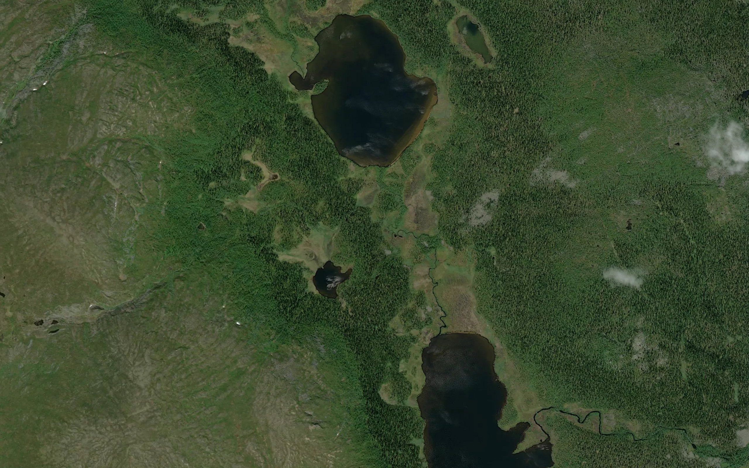 Kaltosaivo
