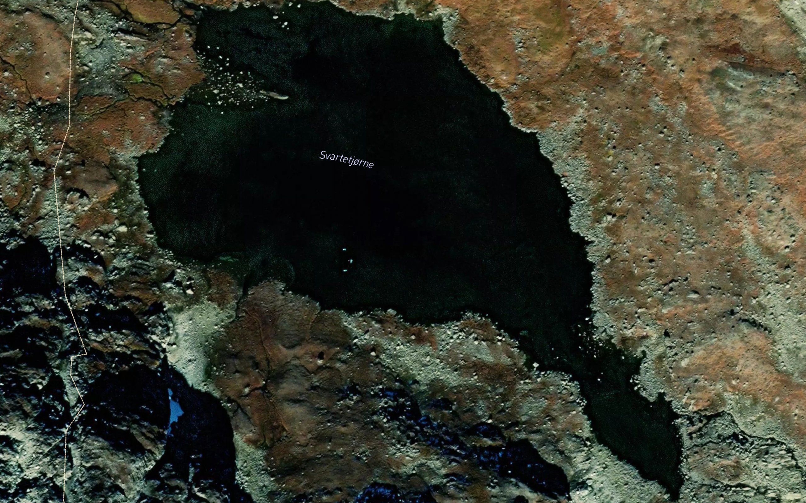 Svartetjorne