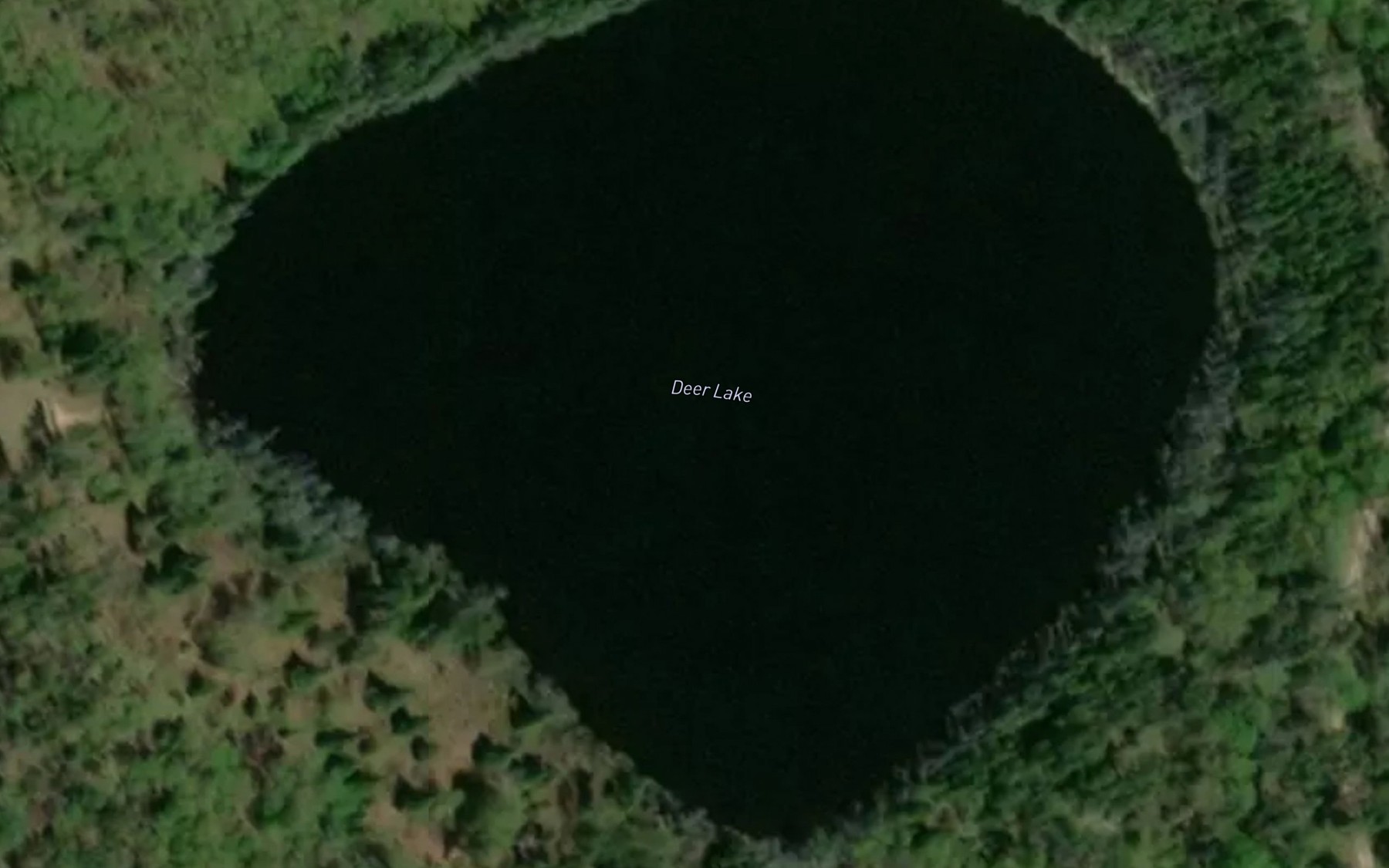 Satellite map of the Deer Lake